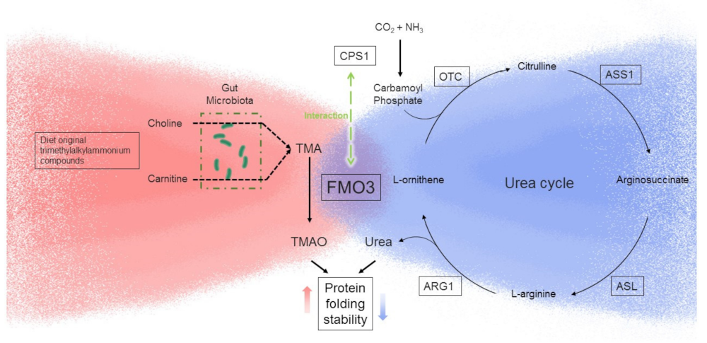 Toxics 10 00060 g003