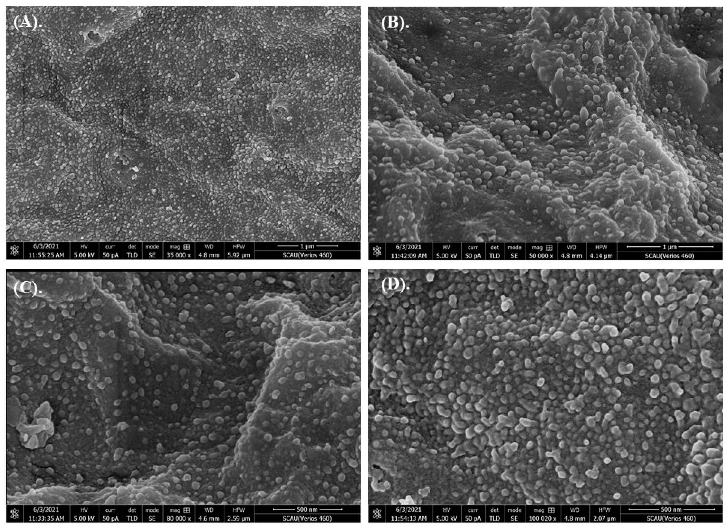 Toxics 10 00076 g001 Toxics 10 00076 g001