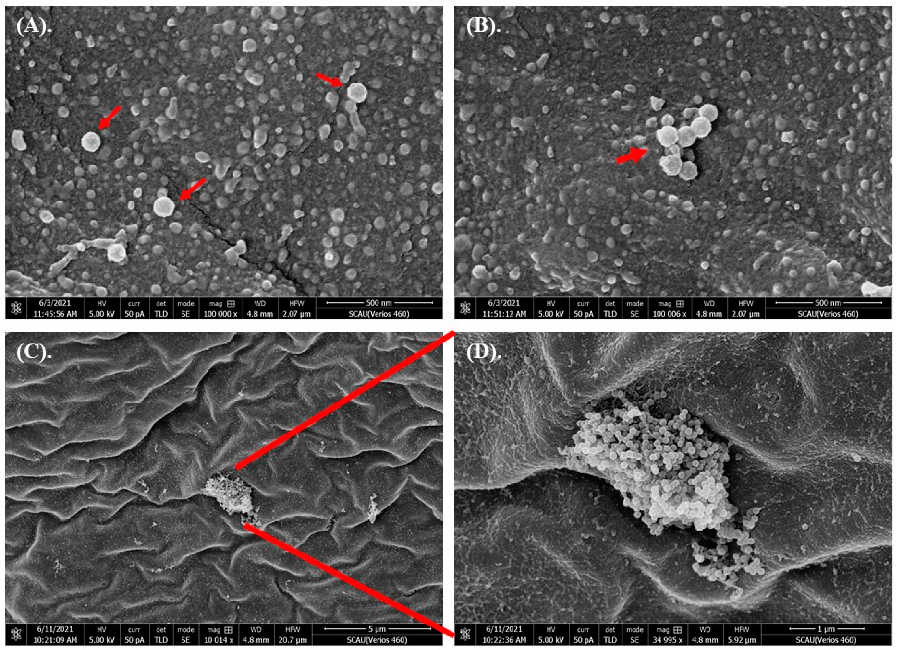 Toxics 10 00076 g002 Toxics 10 00076 g002