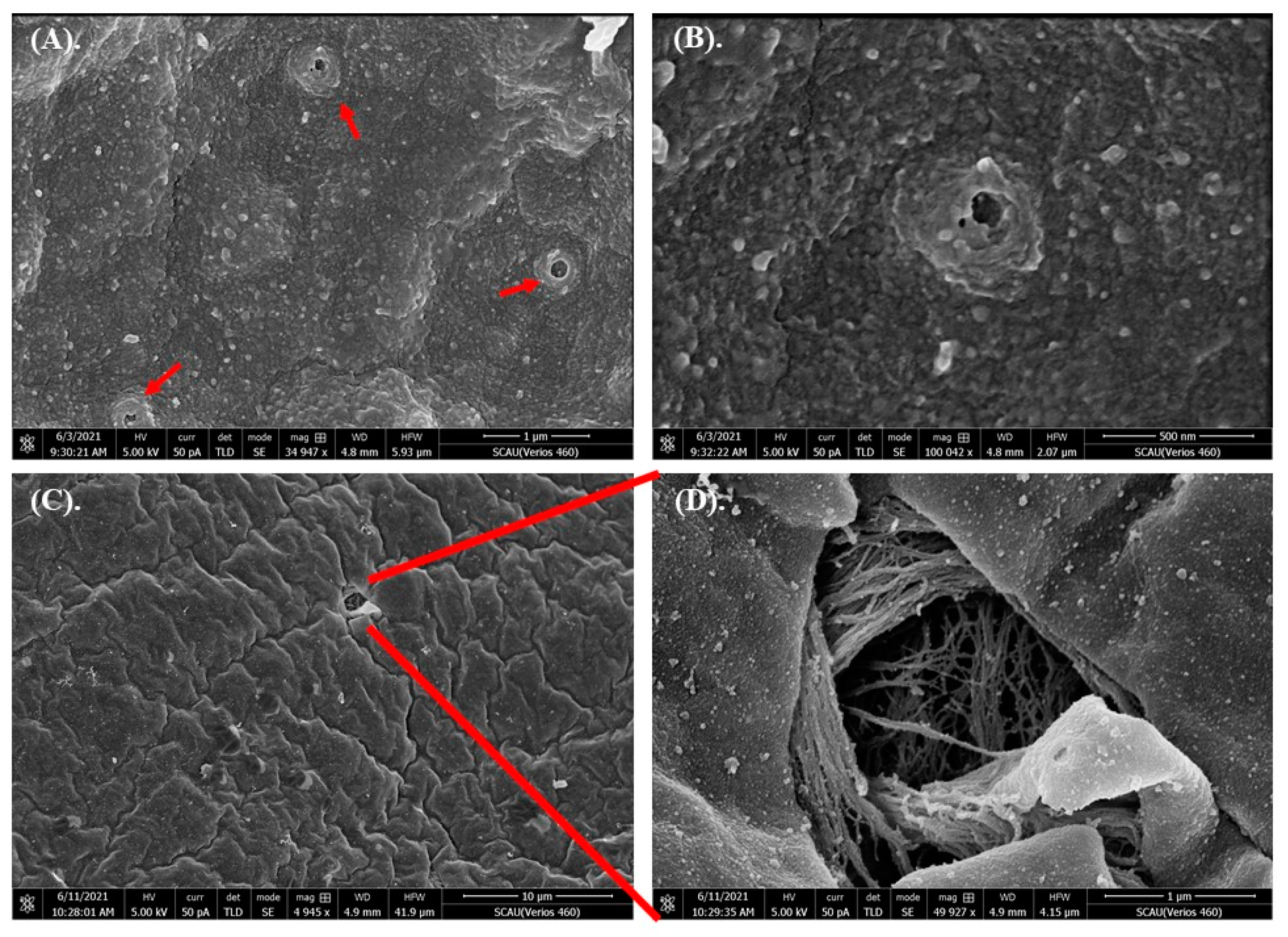 Toxics 10 00076 g003 Toxics 10 00076 g003