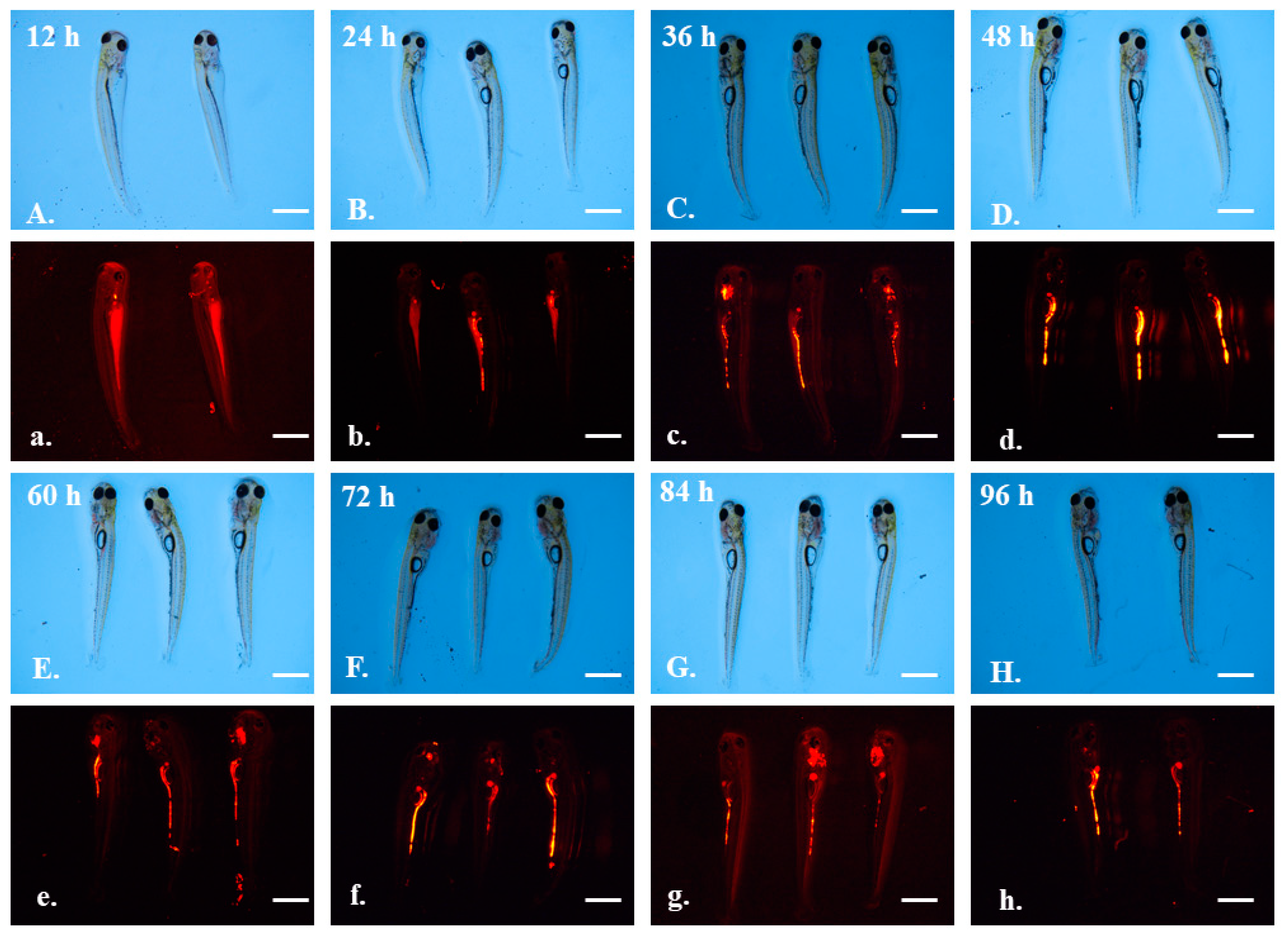 Toxics 10 00076 g005 Toxics 10 00076 g005