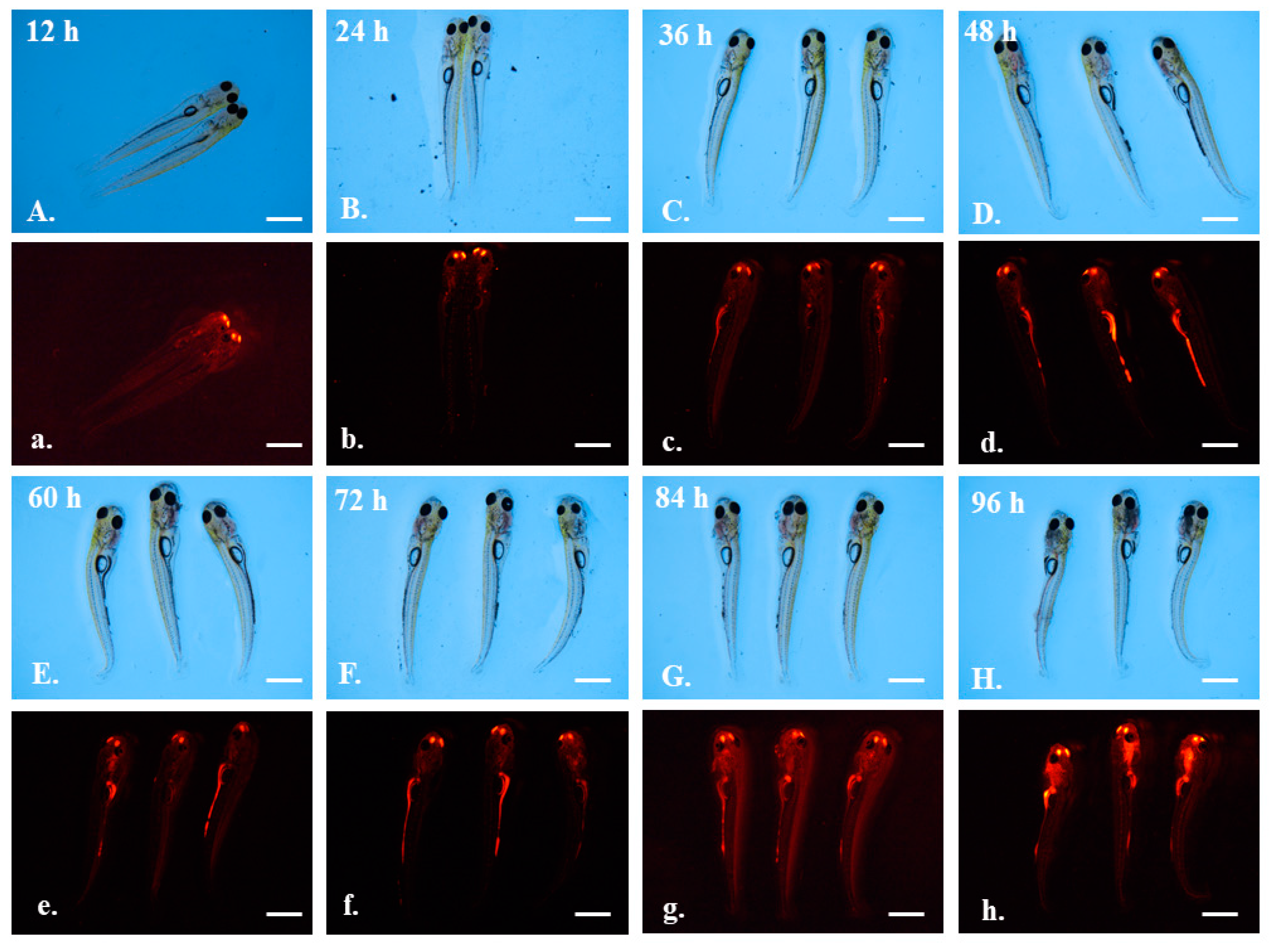 Toxics 10 00076 g006 Toxics 10 00076 g006