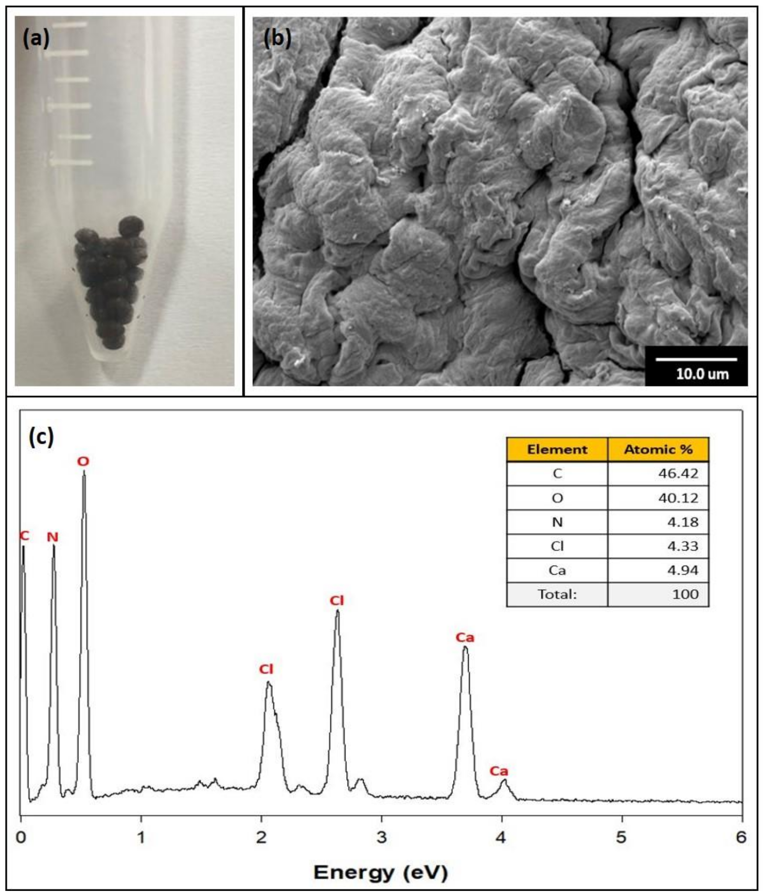Toxics 10 00077 g002 550