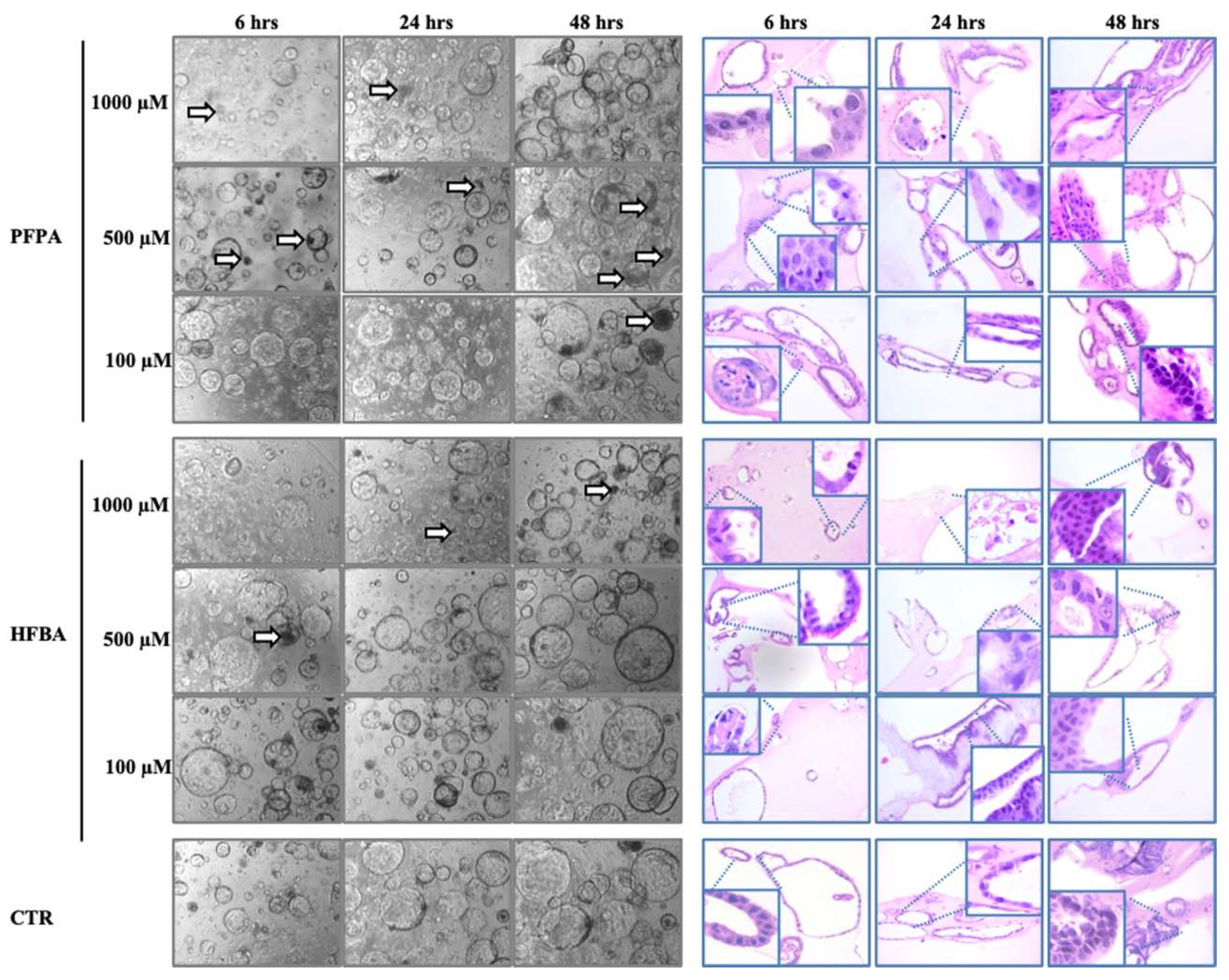 Toxics 10 00091 g002 550