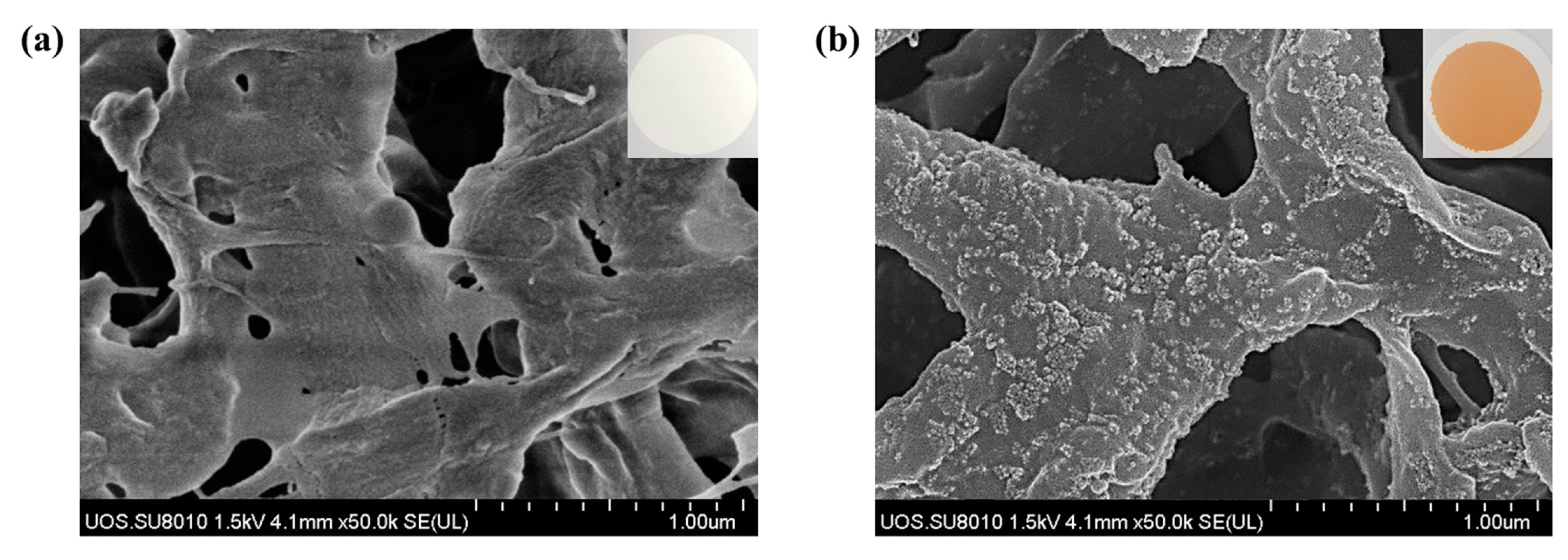 Toxics 10 00098 g002 550