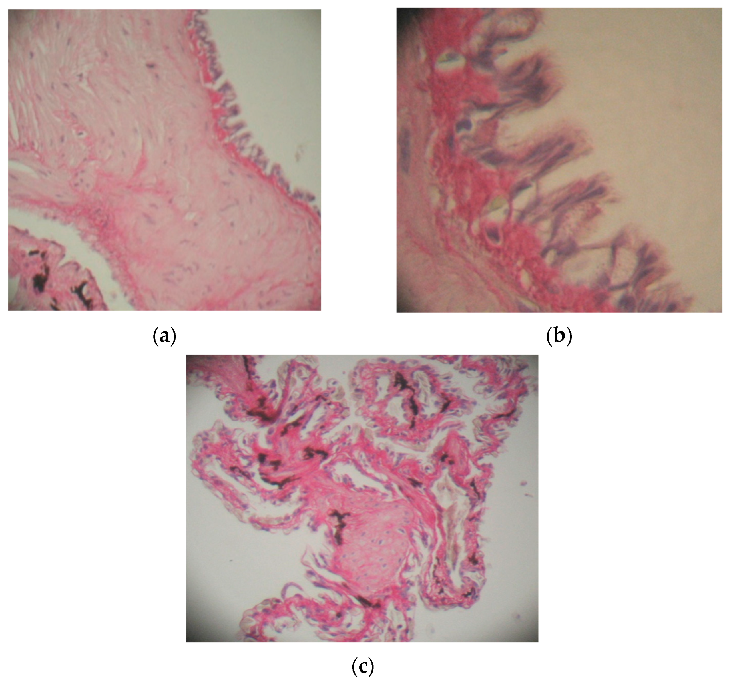 Toxics 10 00114 g003 550