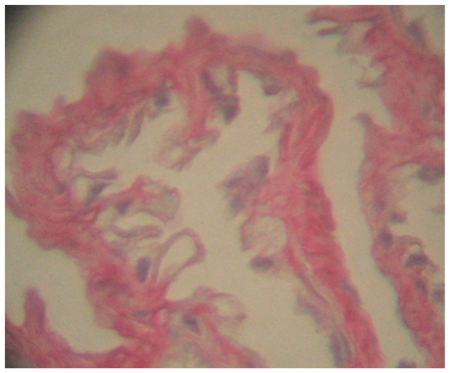 Toxics 10 00114 g004 550