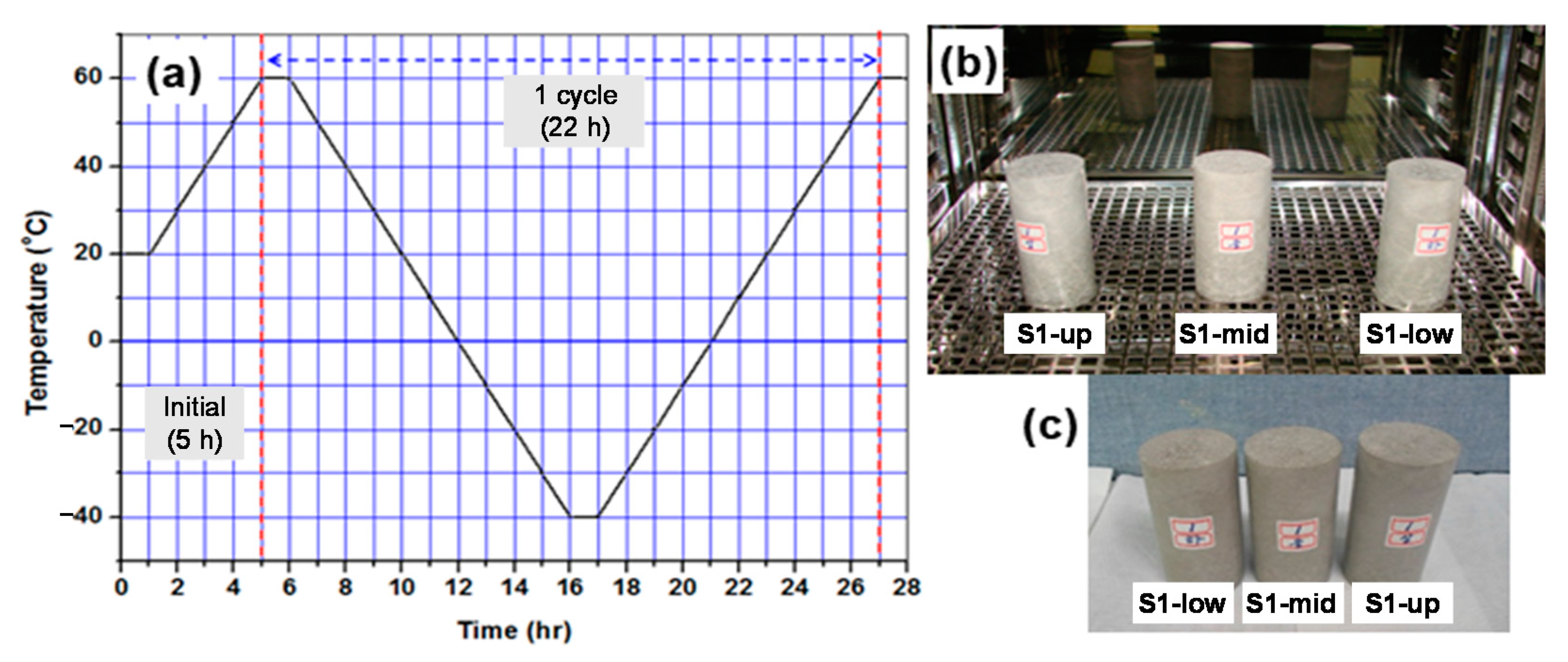 Toxics 10 00120 g005