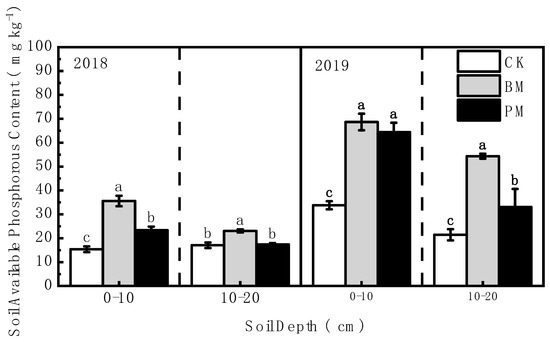 Effect of Long-Term Biodegradable Film Mulch on Soil Physicochemical ...
