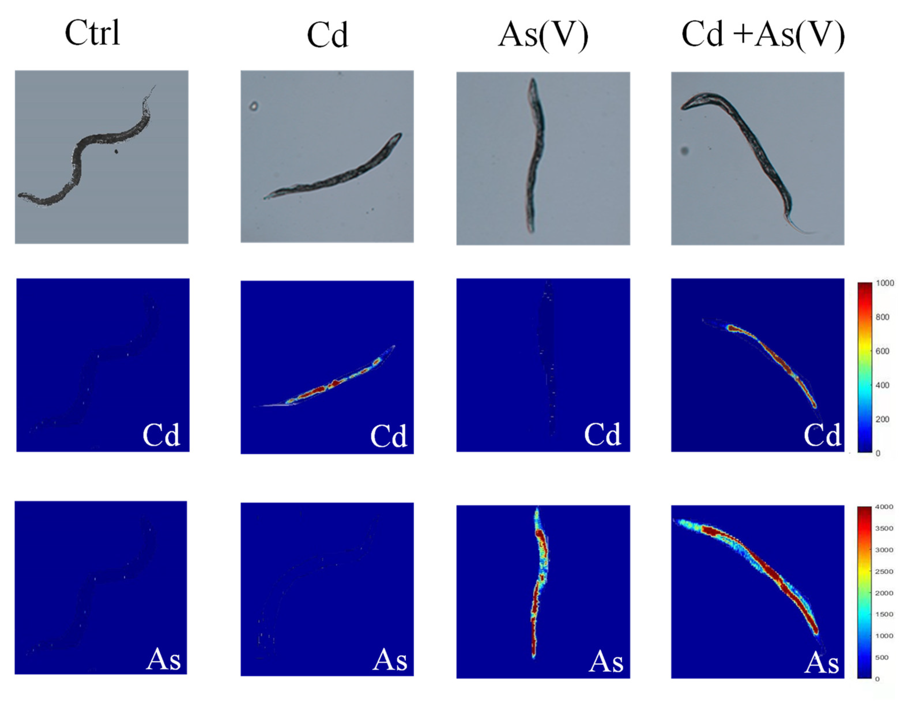 Toxics 10 00133 g004 550