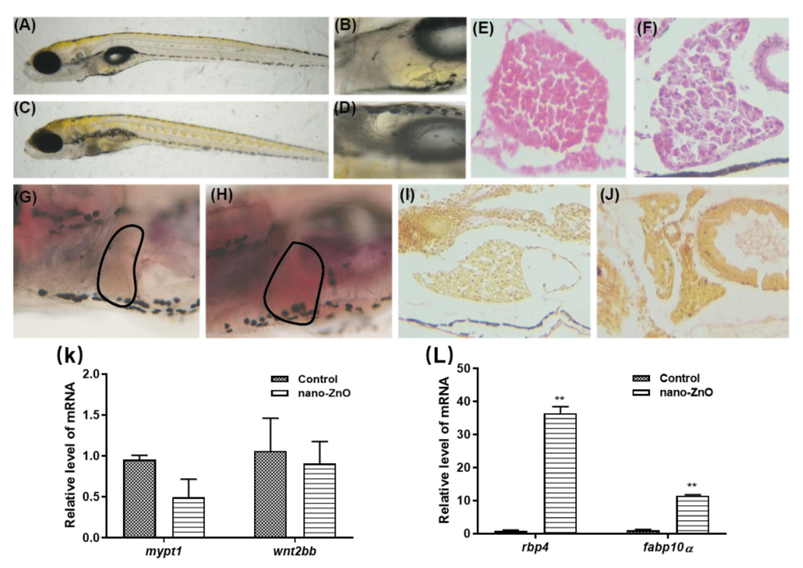 Toxics 10 00144 g004 550