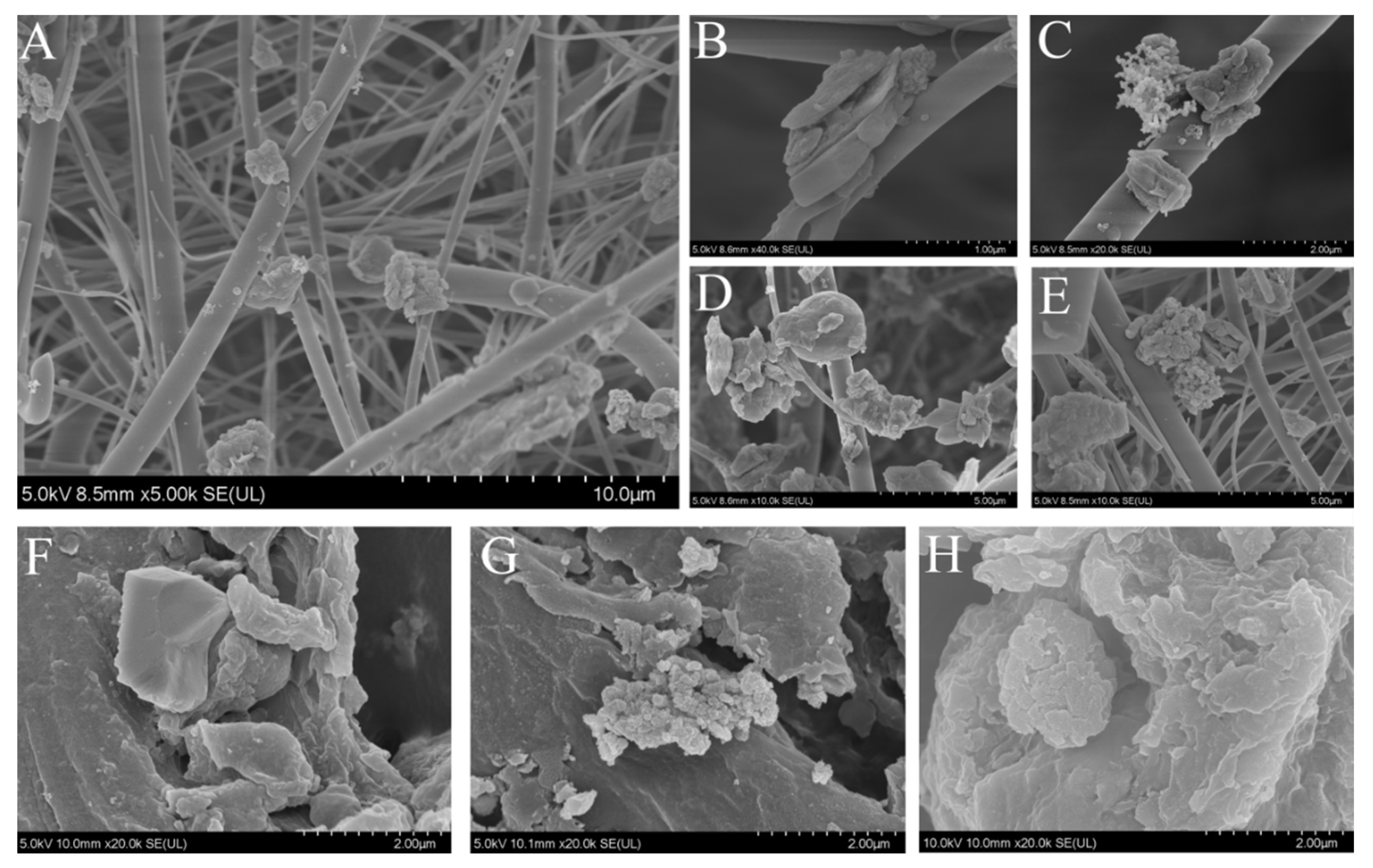 Toxics 10 00145 g002