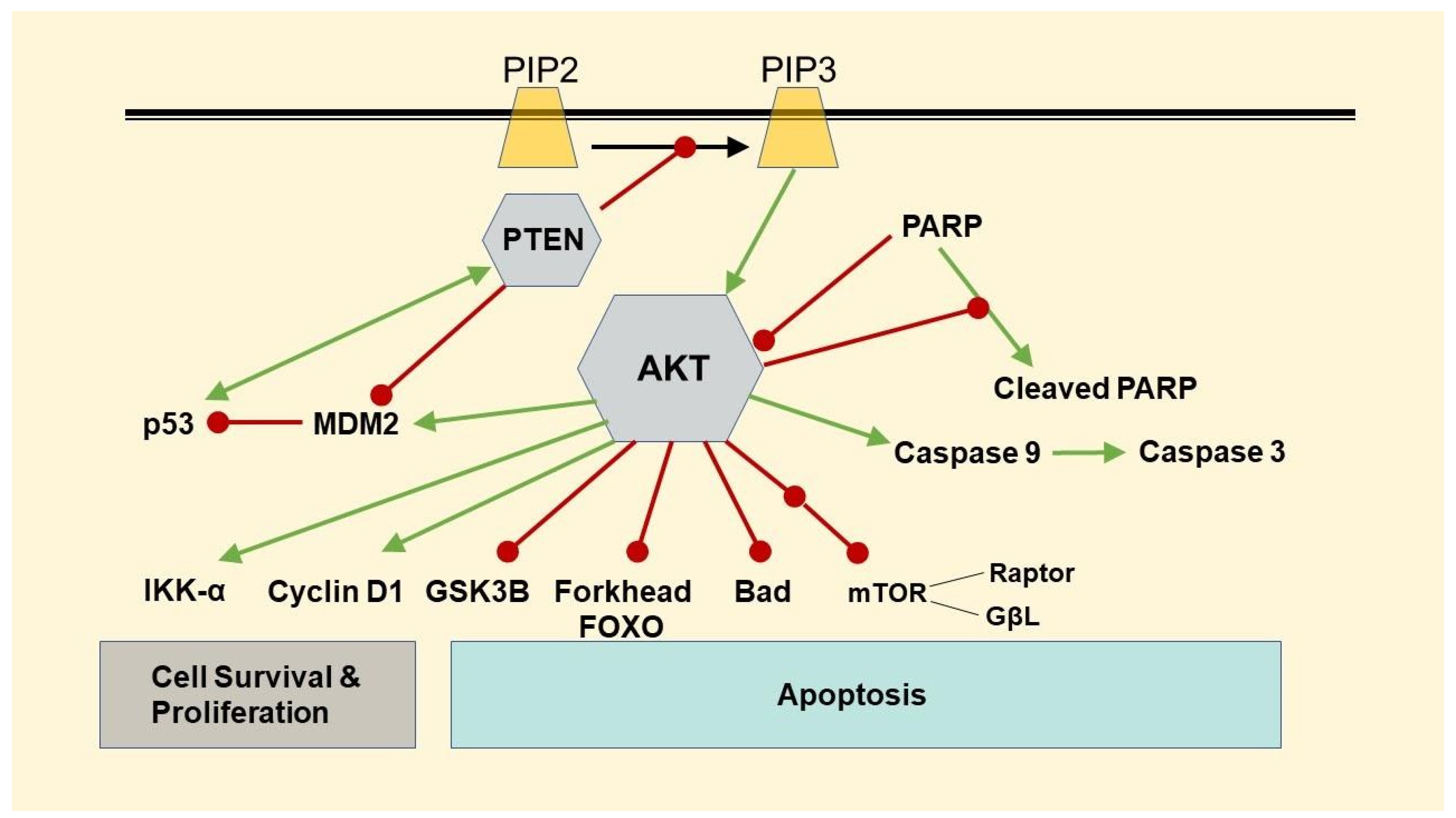 Toxics 10 00148 g001 Toxics 10 00148 g001