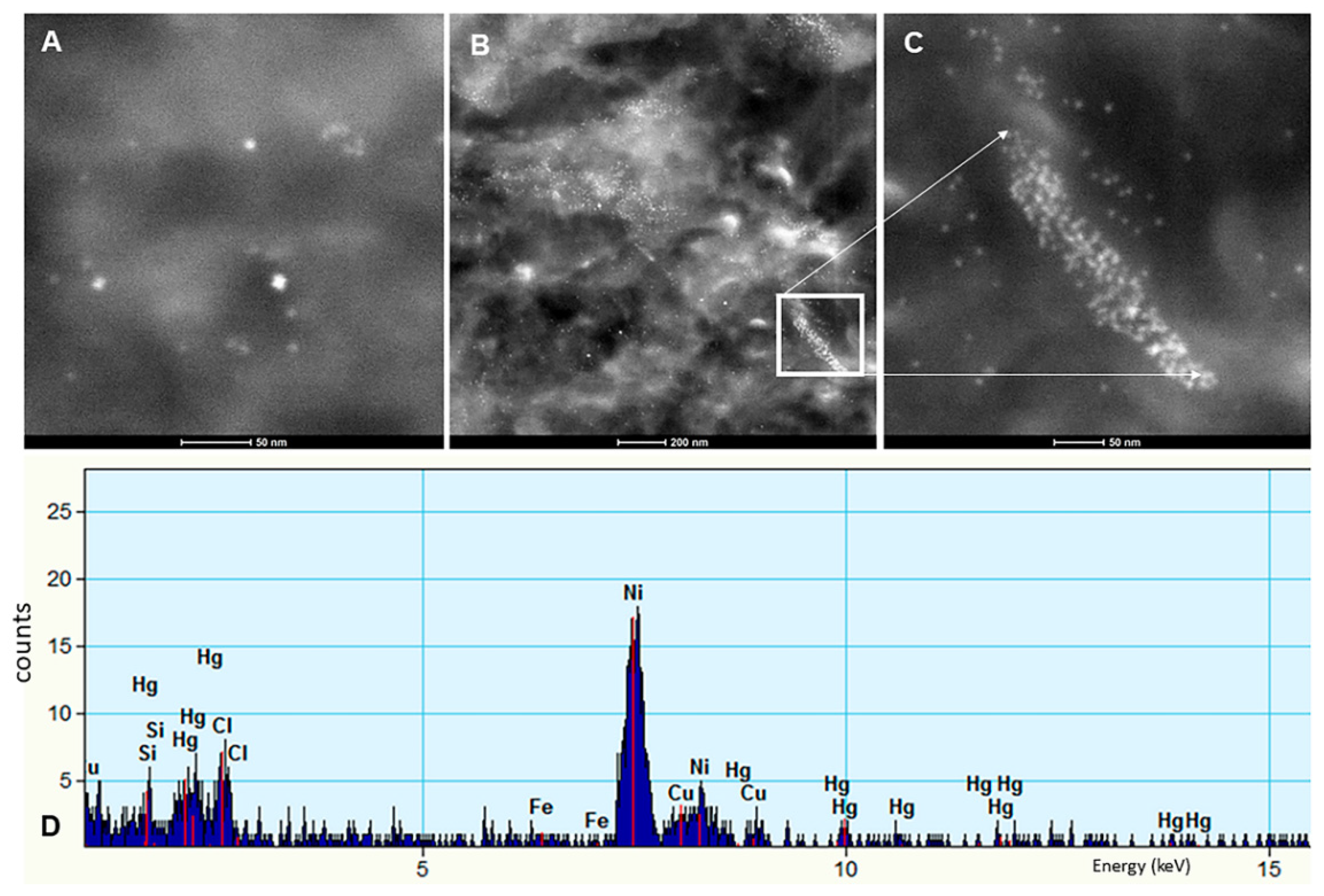 Toxics 10 00164 g007