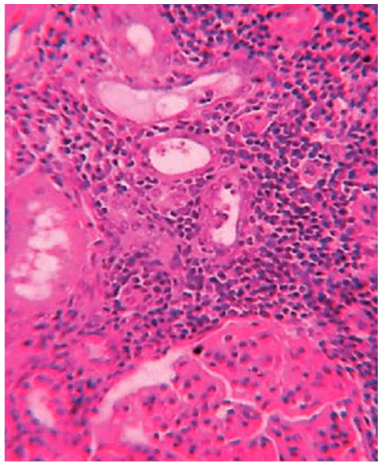 Toxics 10 00166 g002