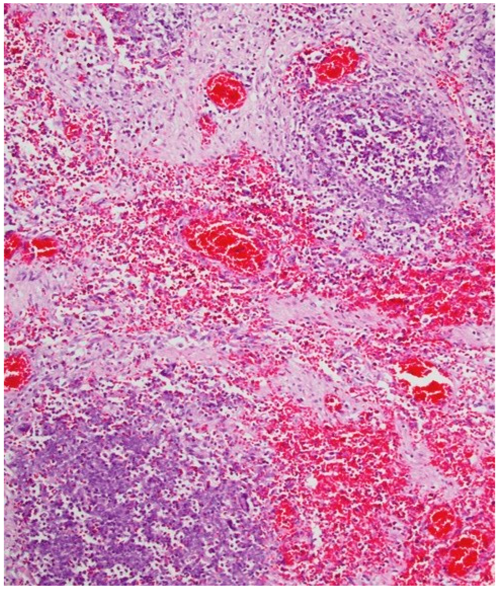 Toxics 10 00166 g003