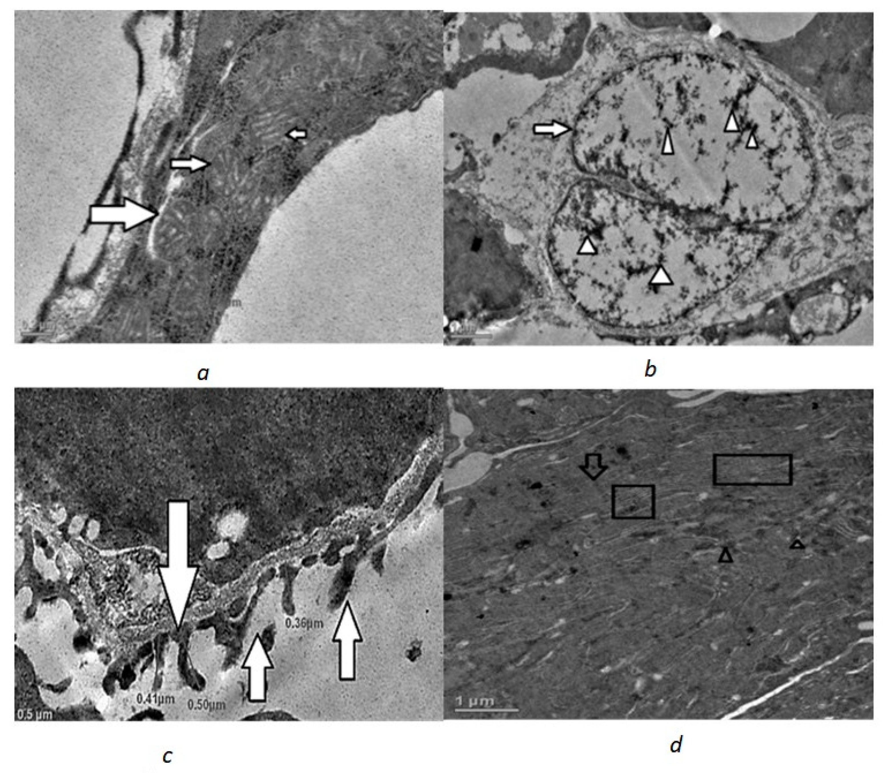 Toxics 10 00177 g001 550