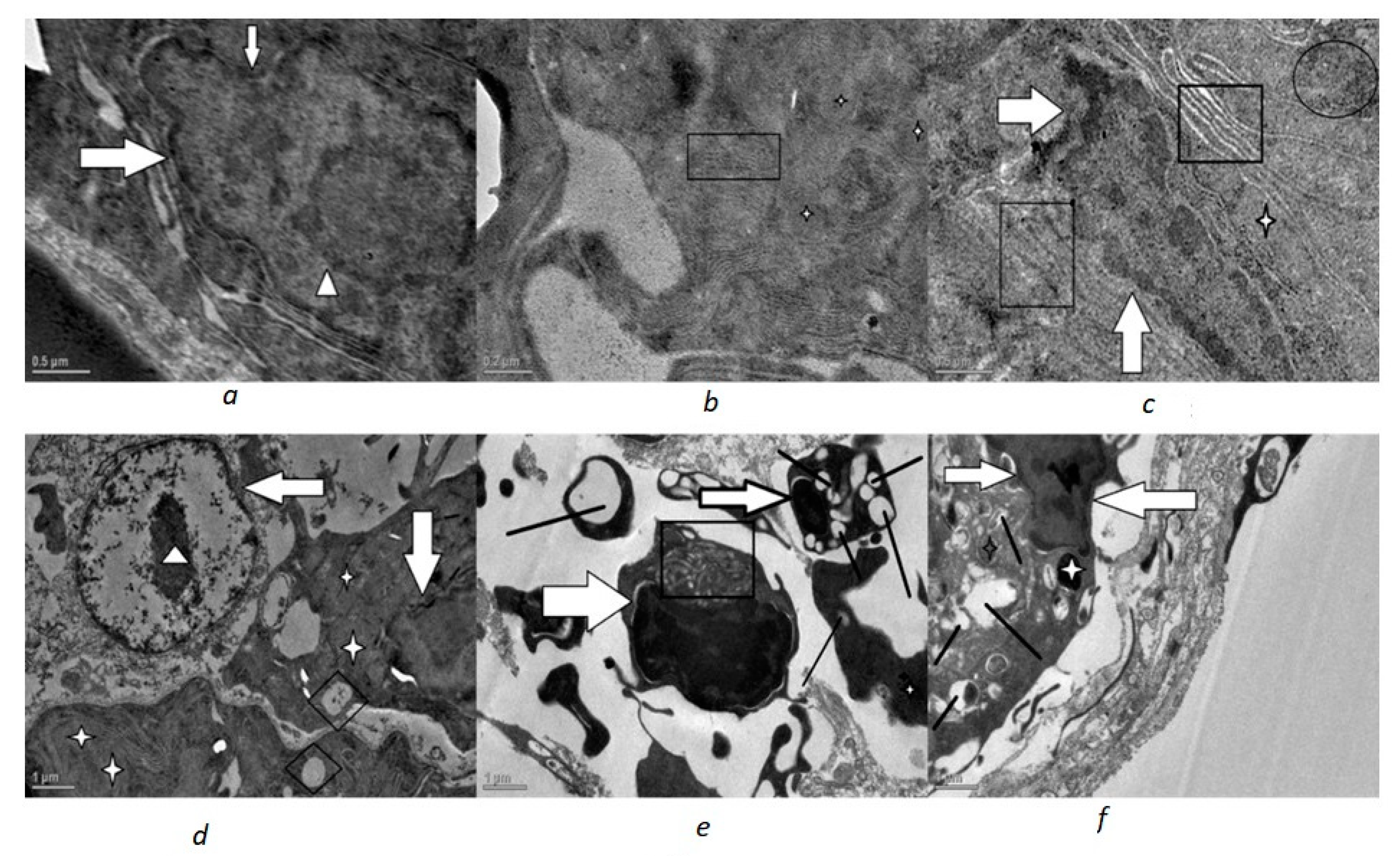 Toxics 10 00177 g002 550