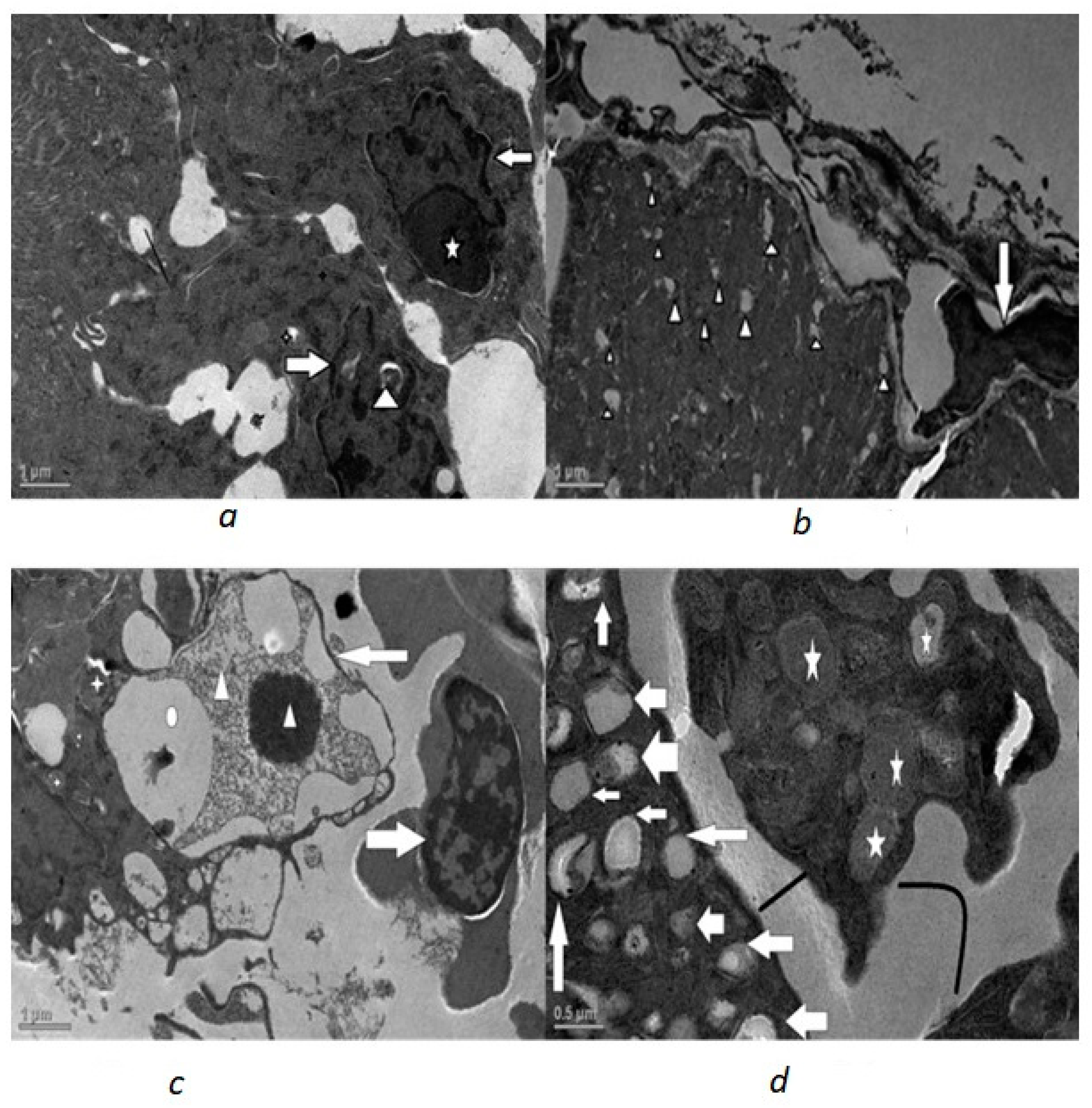Toxics 10 00177 g004 550