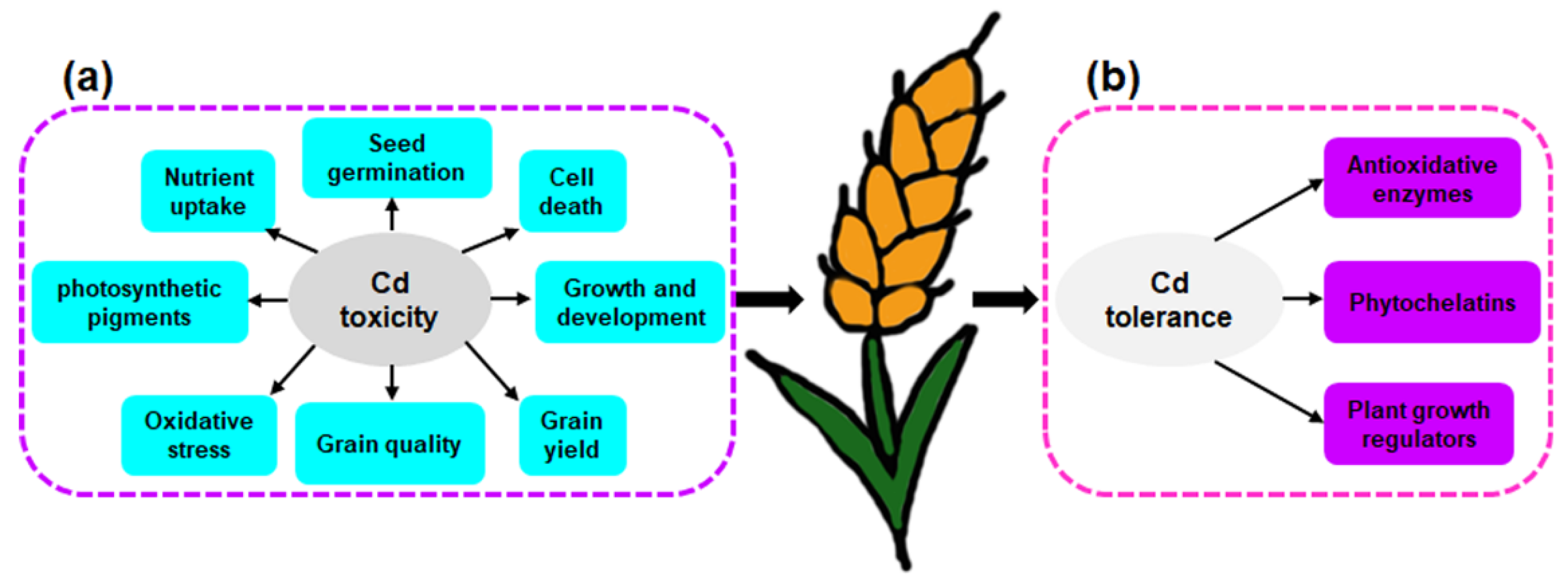 Toxics 10 00187 g002 550