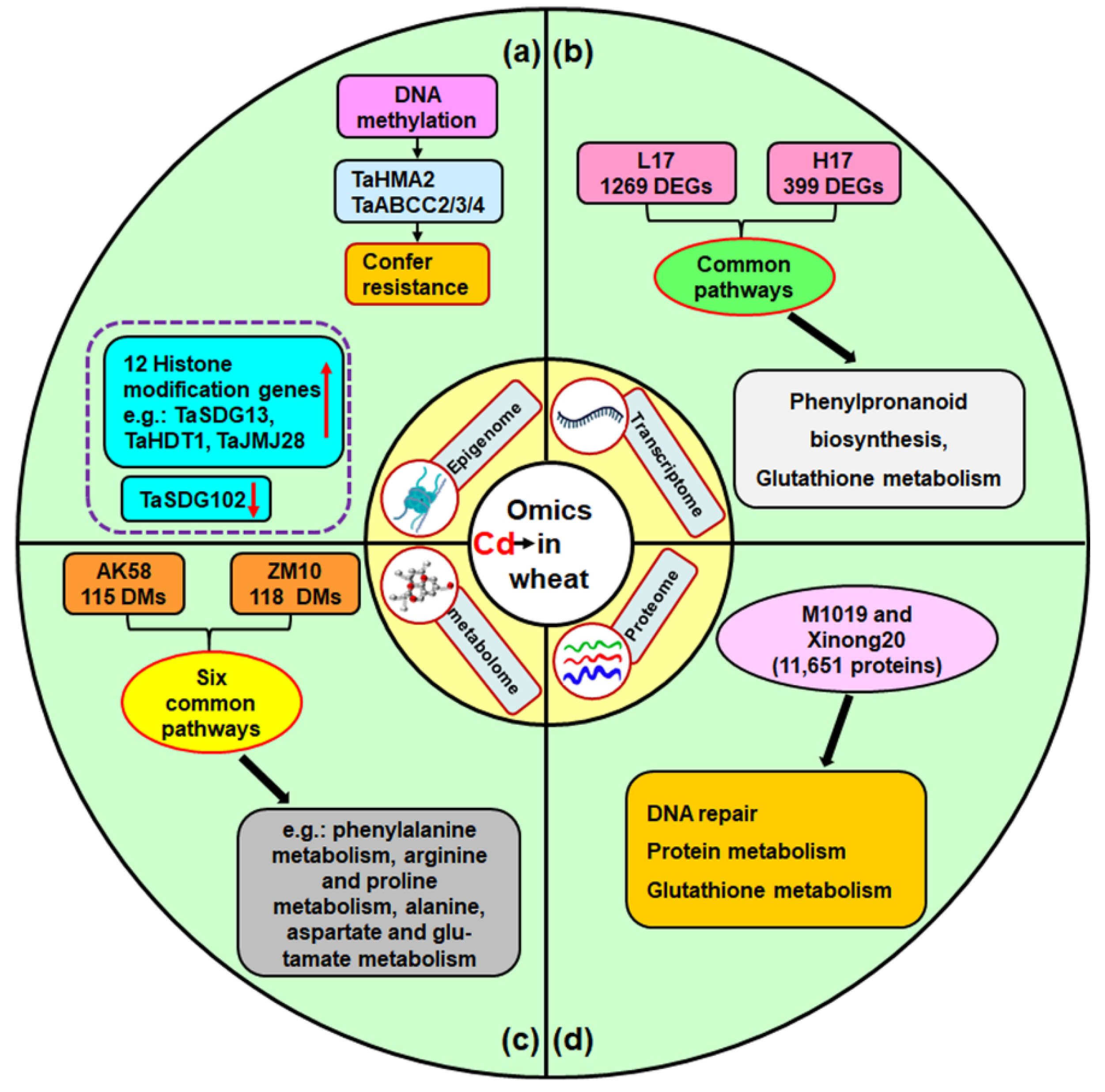 Toxics 10 00187 g003 550