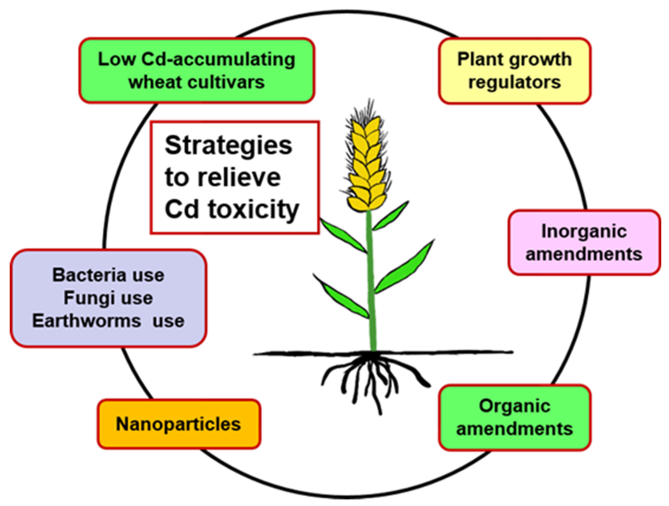 Toxics 10 00187 g005 550