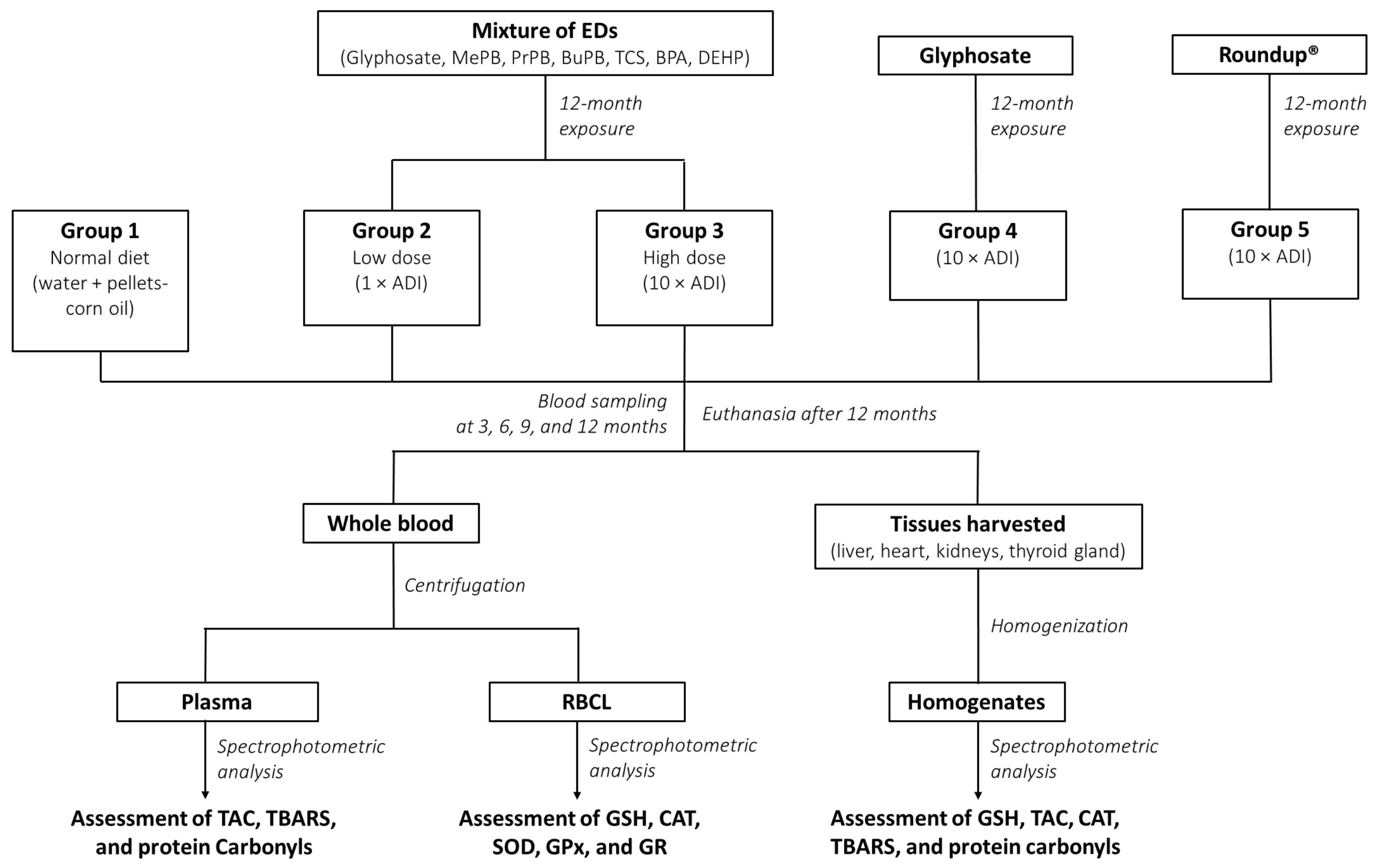 Toxics 10 00190 g001 550
