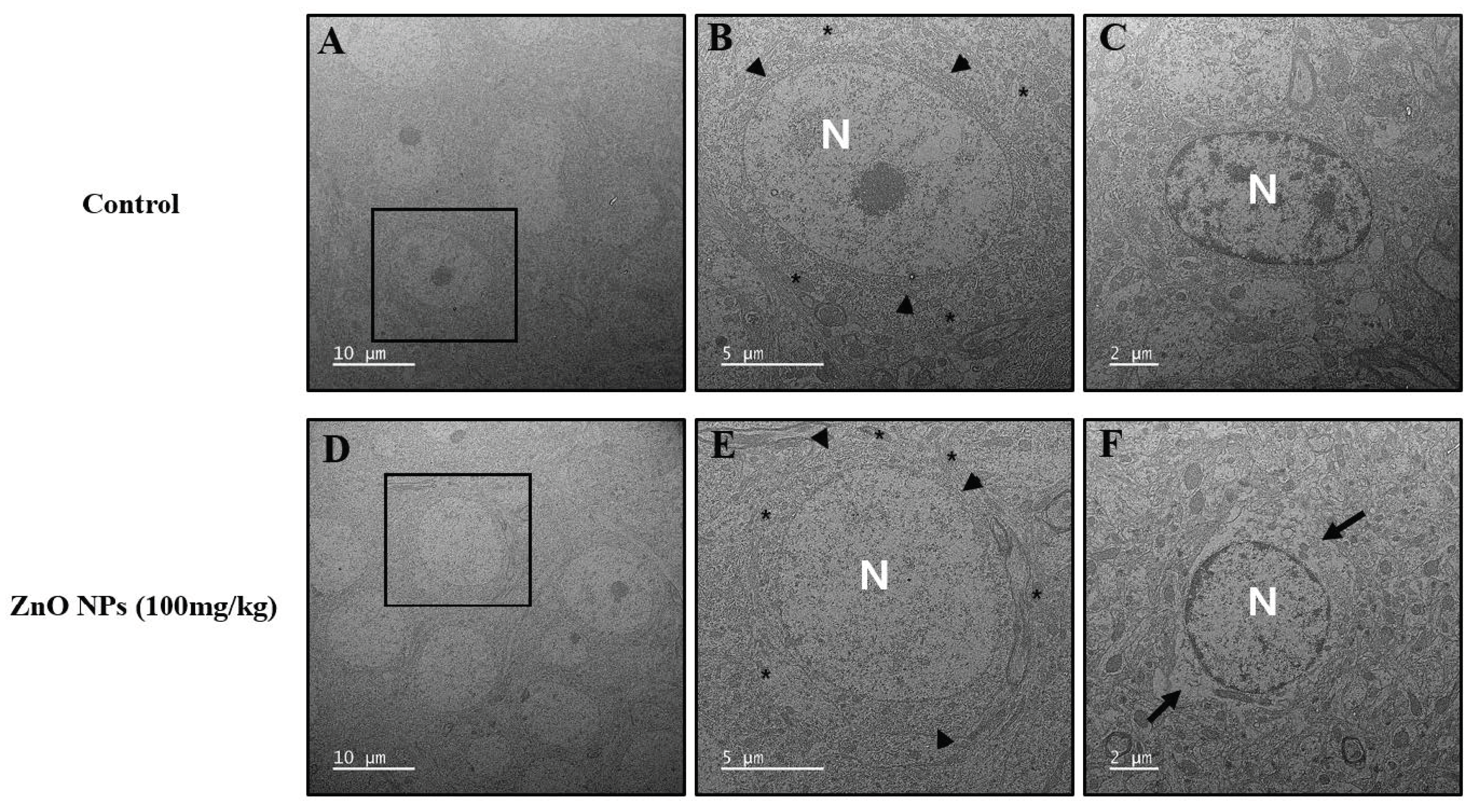 Toxics 10 00194 g008 550