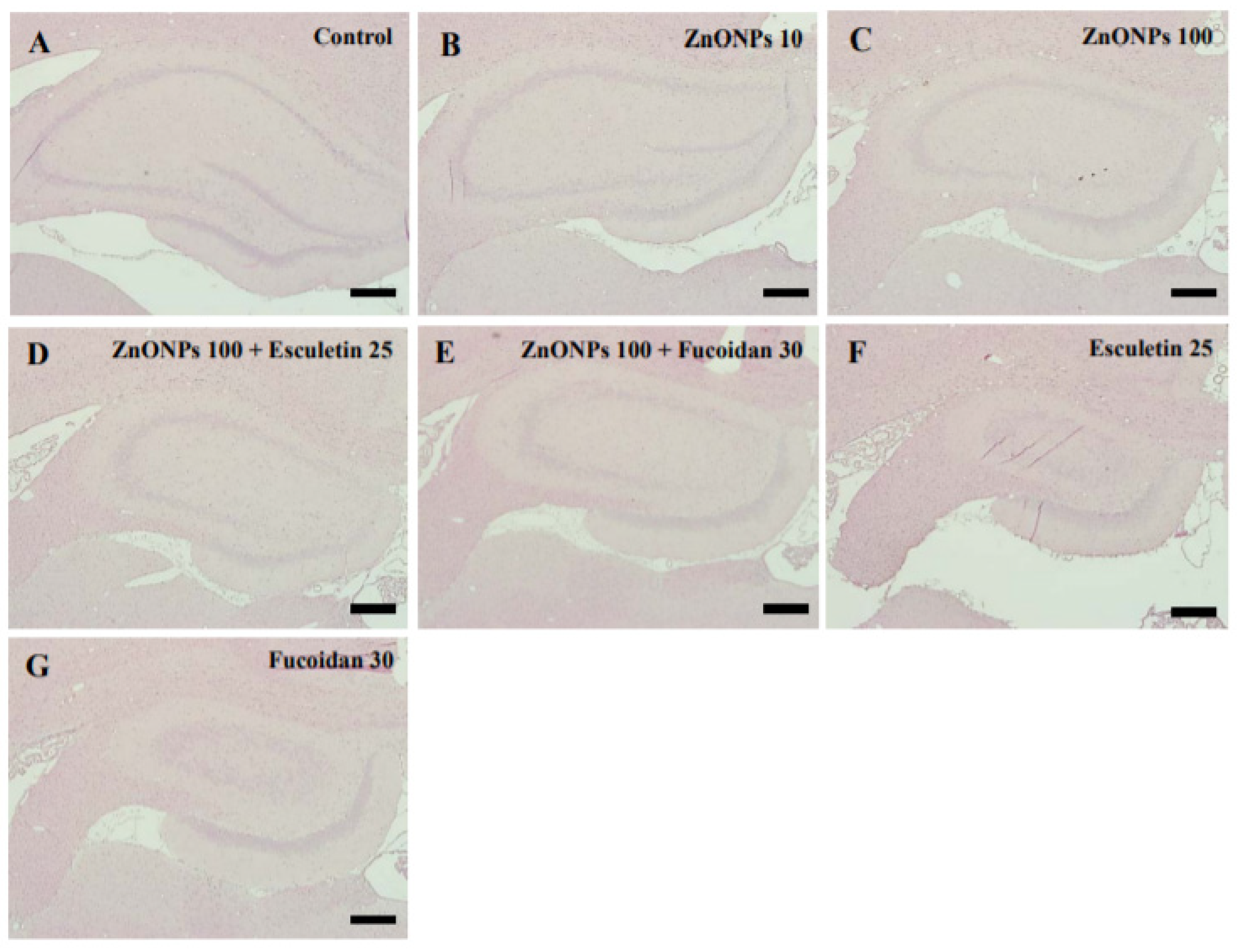 Toxics 10 00194 g009 550