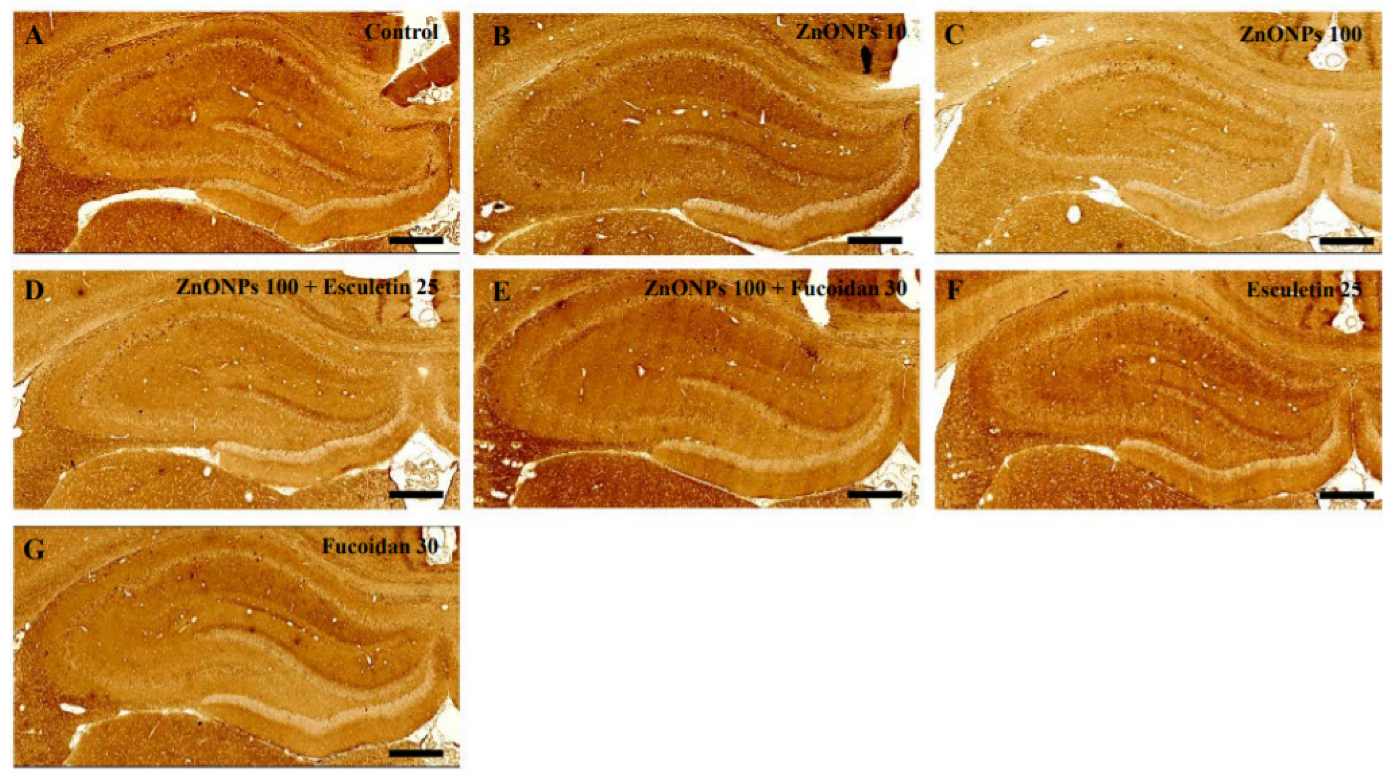 Toxics 10 00194 g010 550
