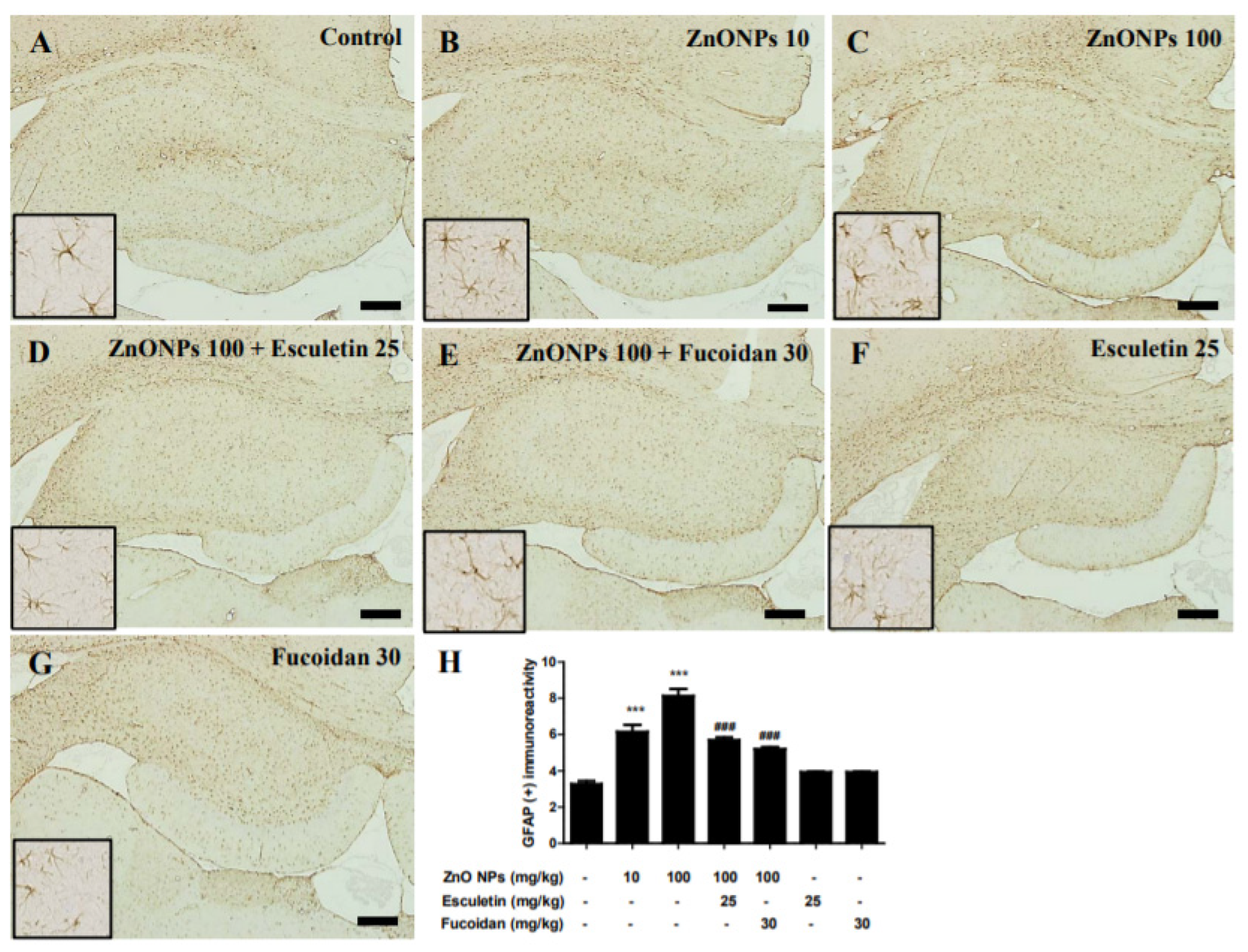 Toxics 10 00194 g012 550