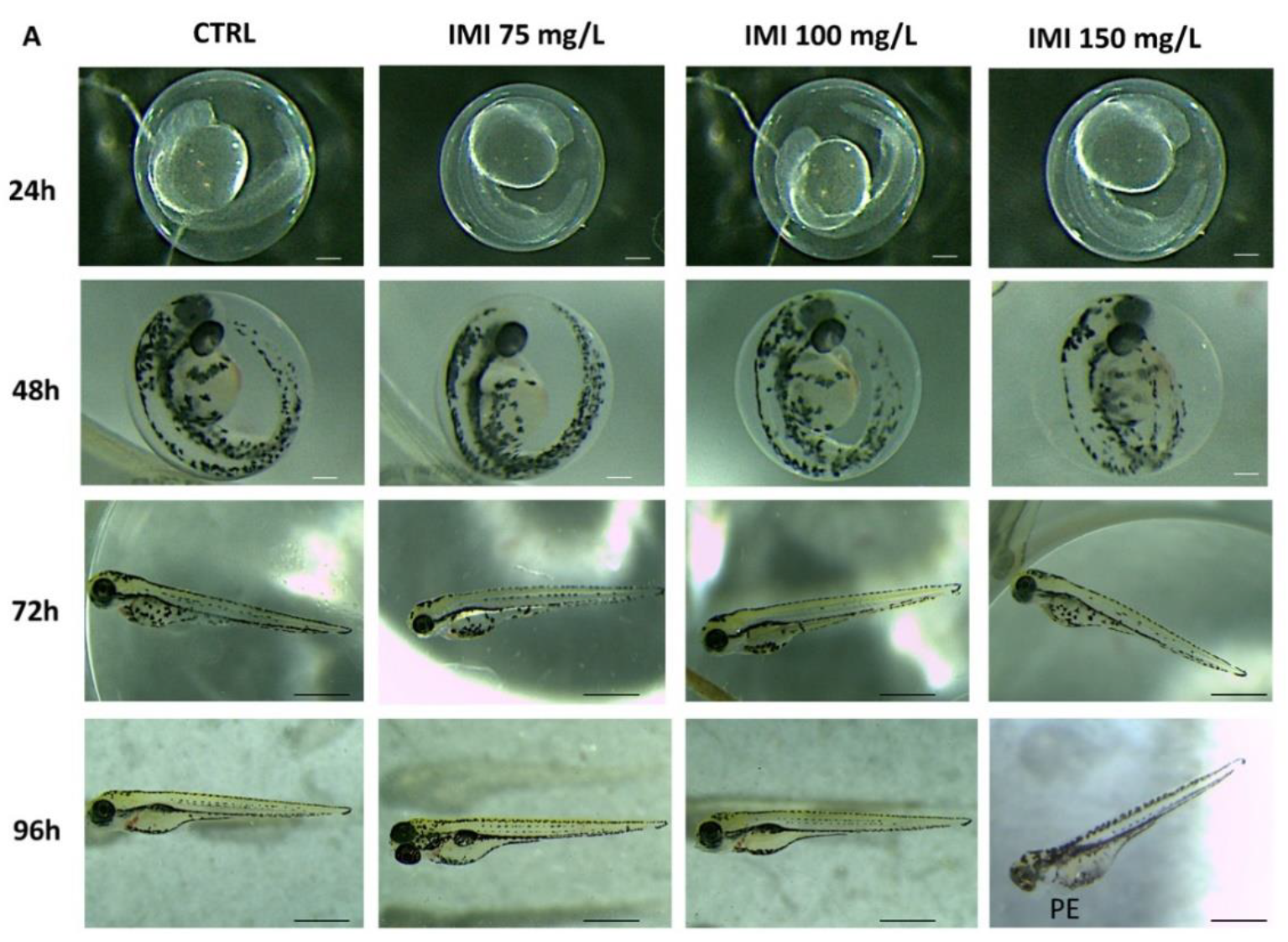 Toxics 10 00203 g001