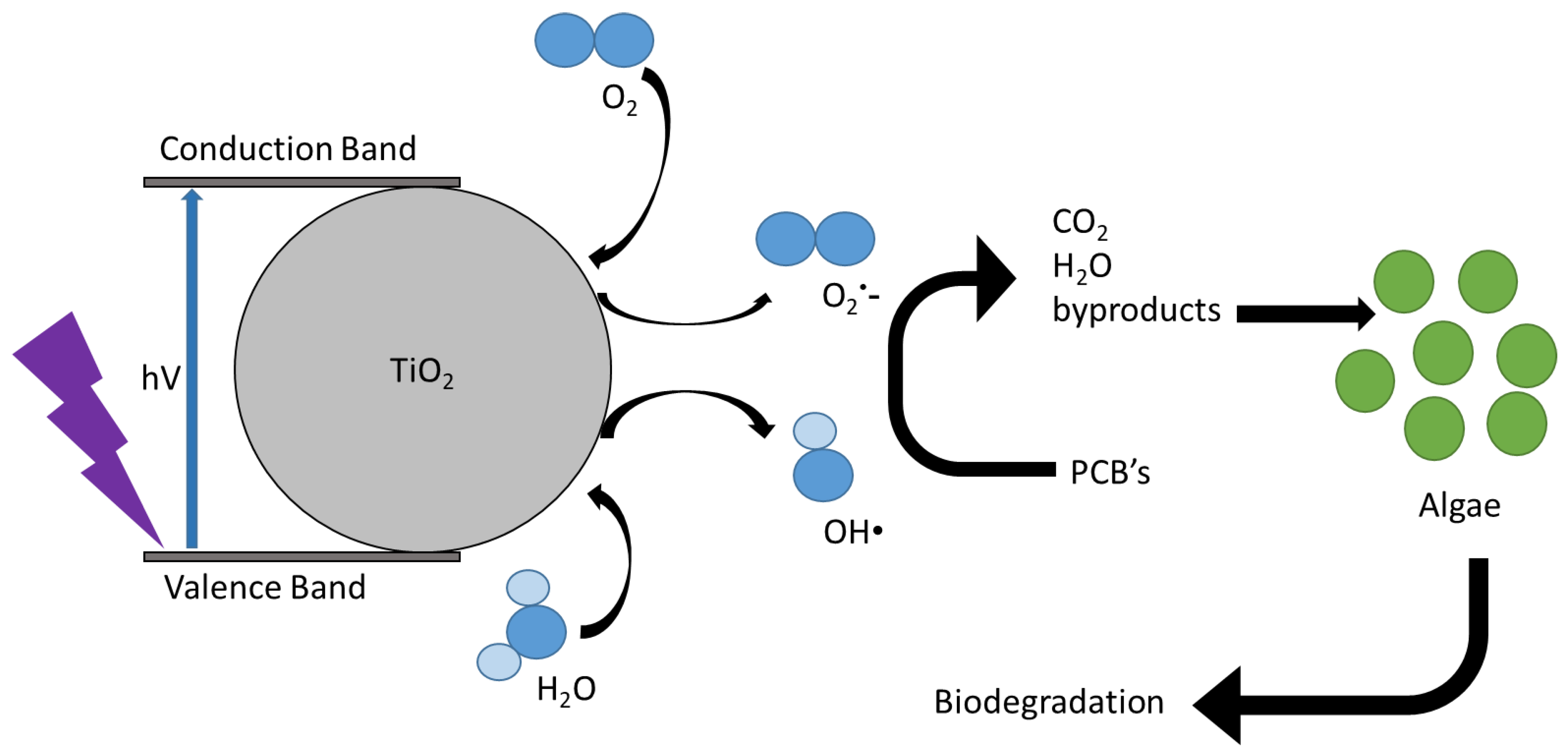 Toxics 10 00209 g002 550