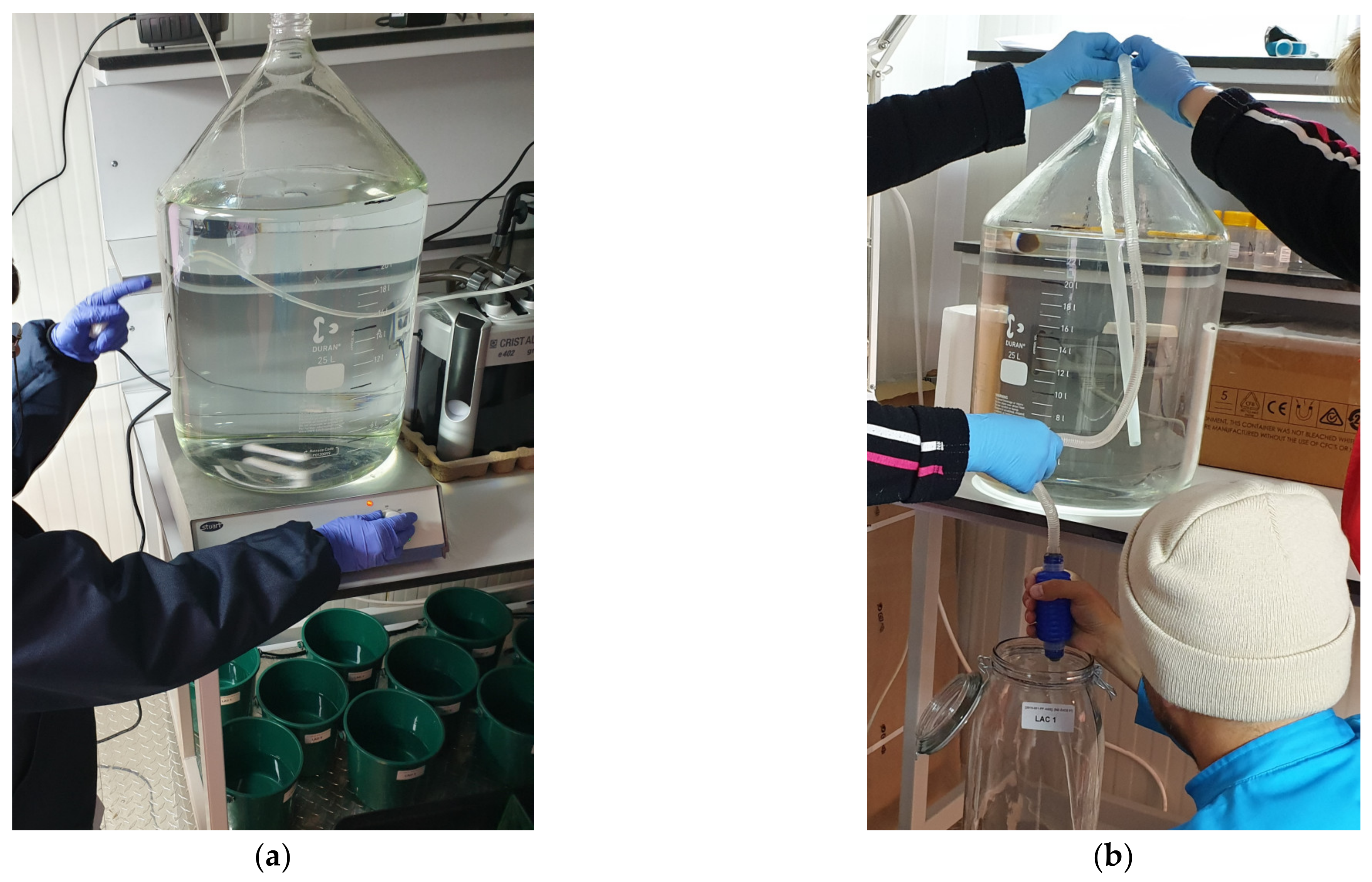 Toxics 10 00222 g004