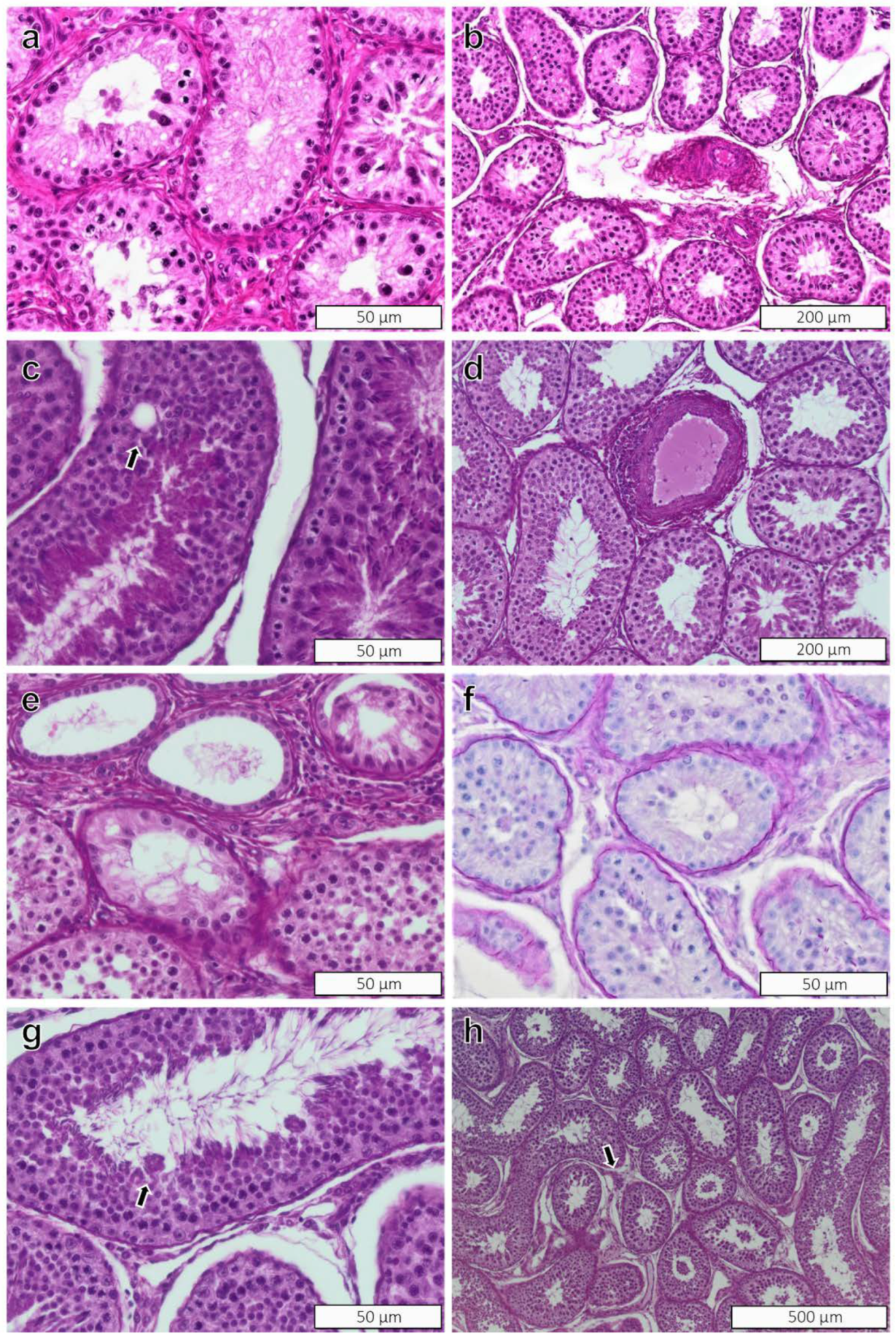 Toxics 10 00224 g002