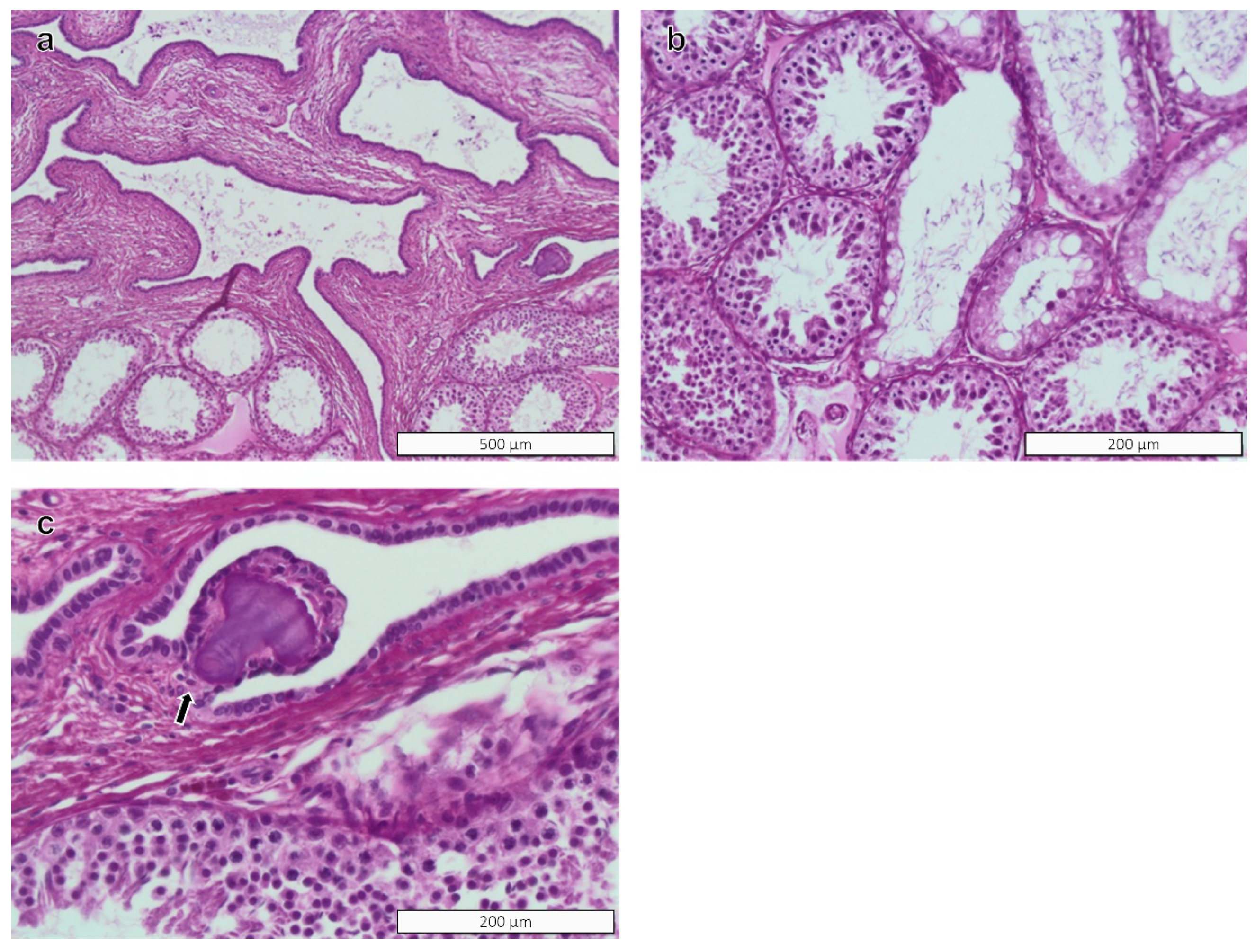 Toxics 10 00224 g003