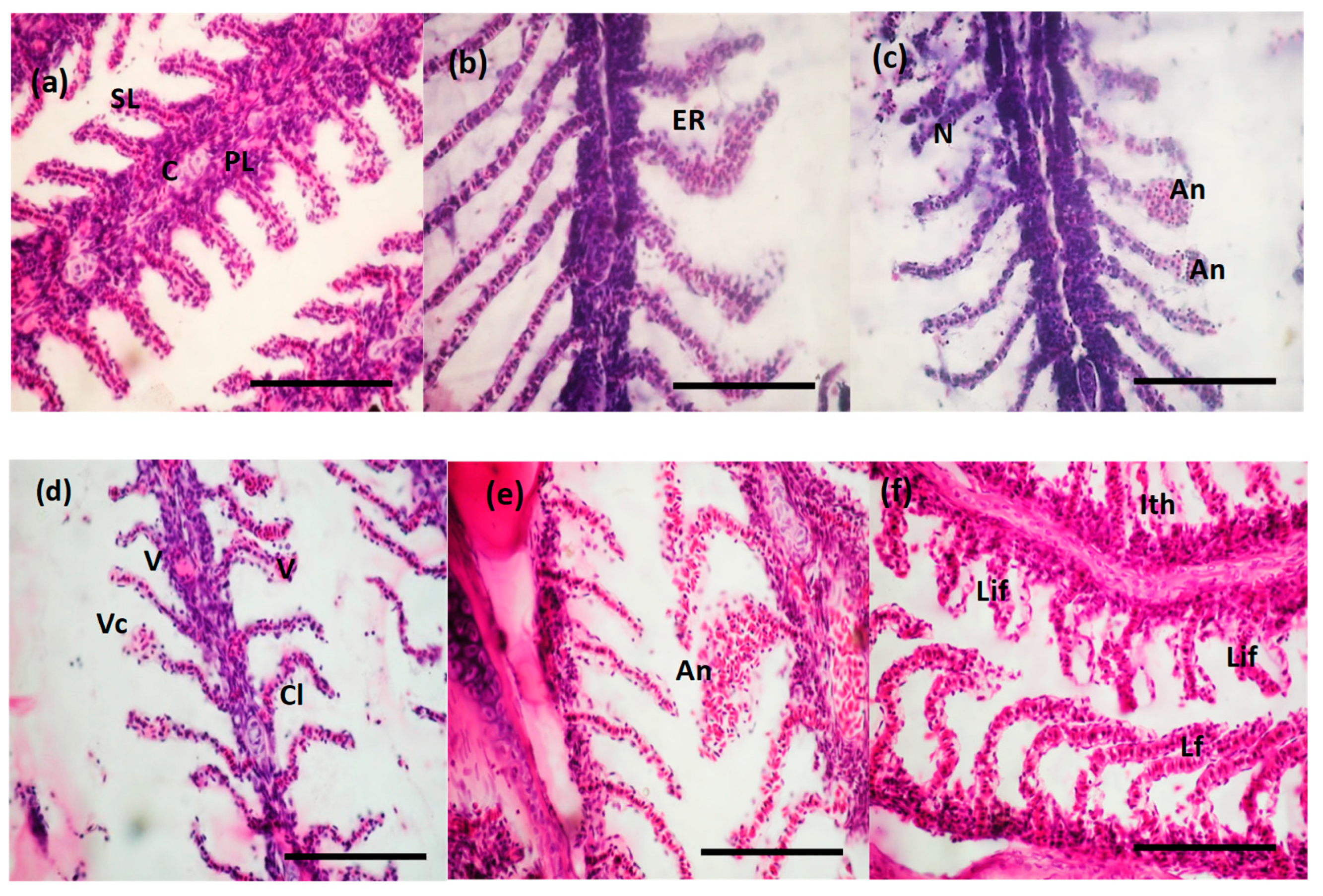 Toxics 10 00227 g005 550
