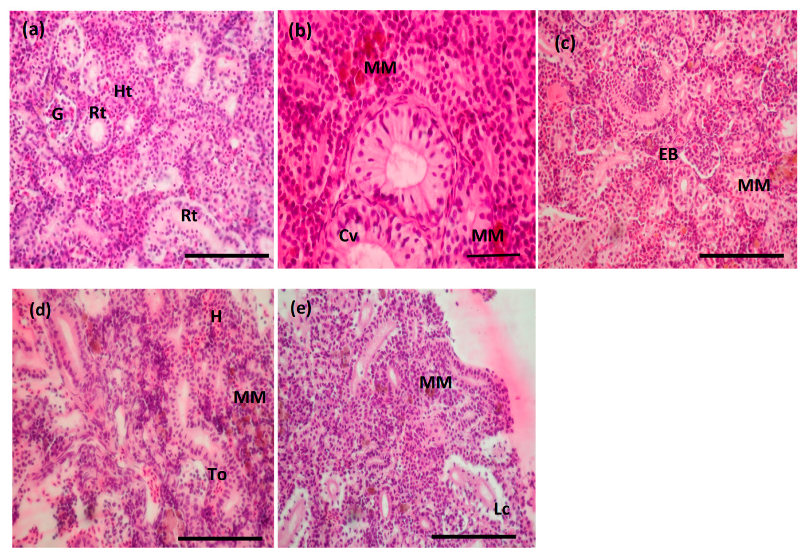 Toxics 10 00227 g006 550