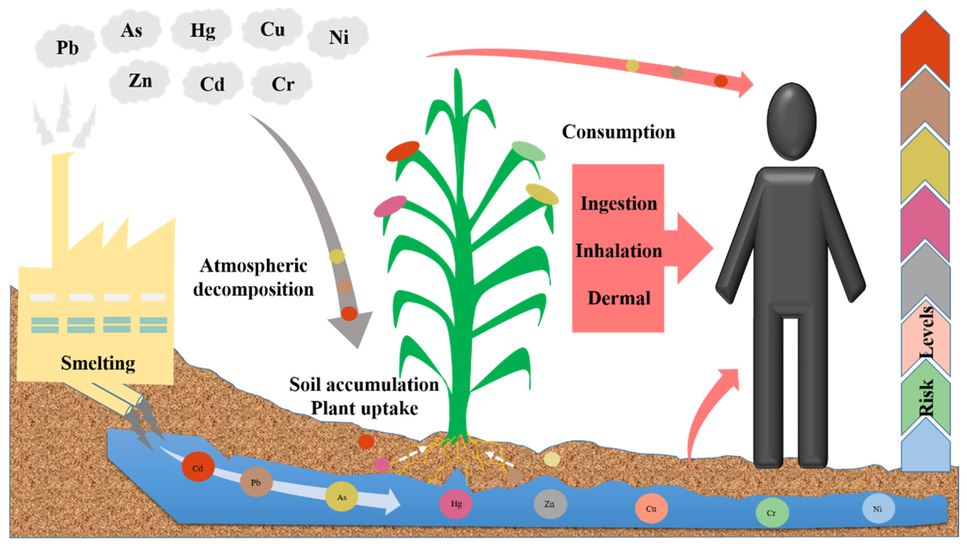 Toxics 10 00231 g002 550