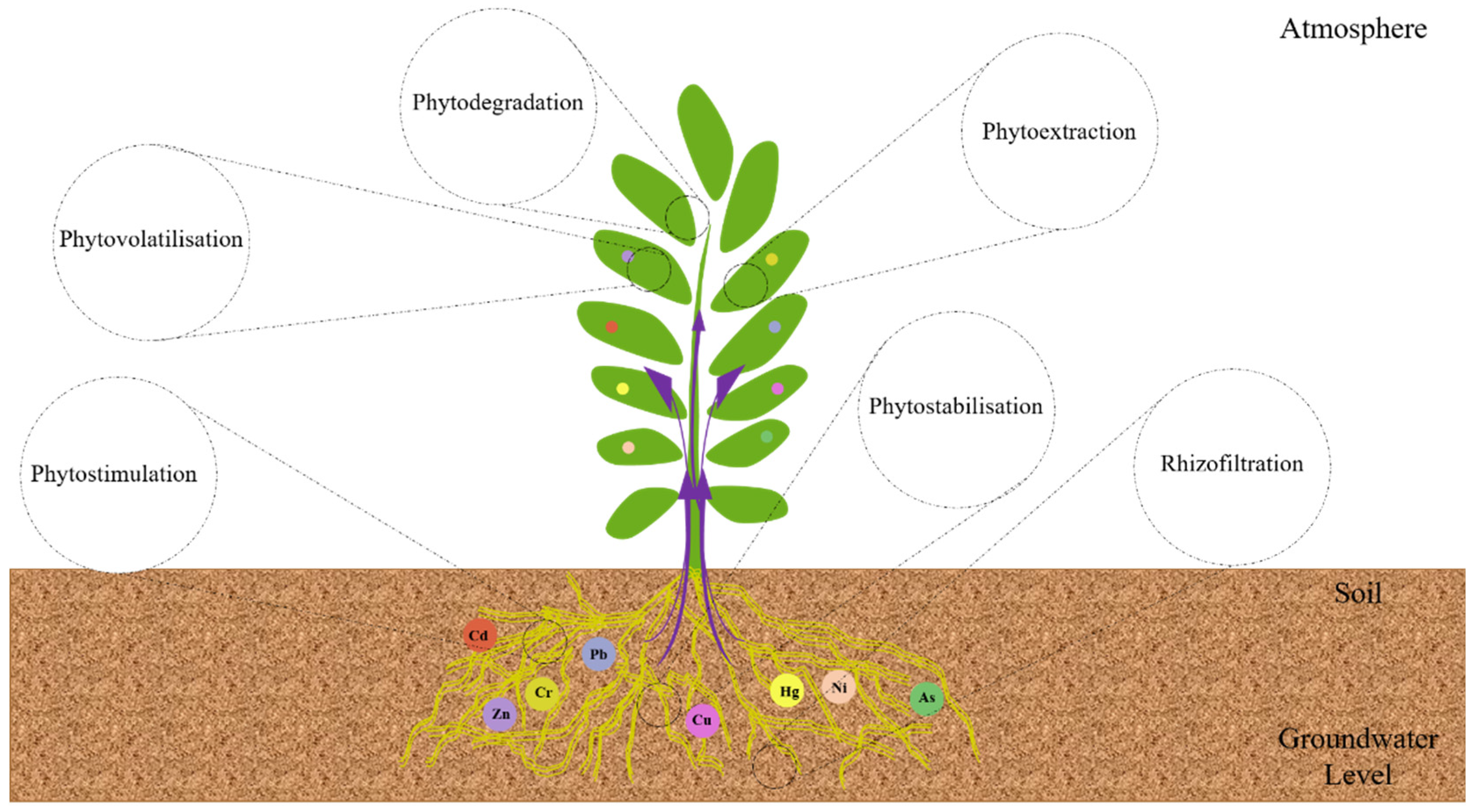 Toxics 10 00231 g005 550