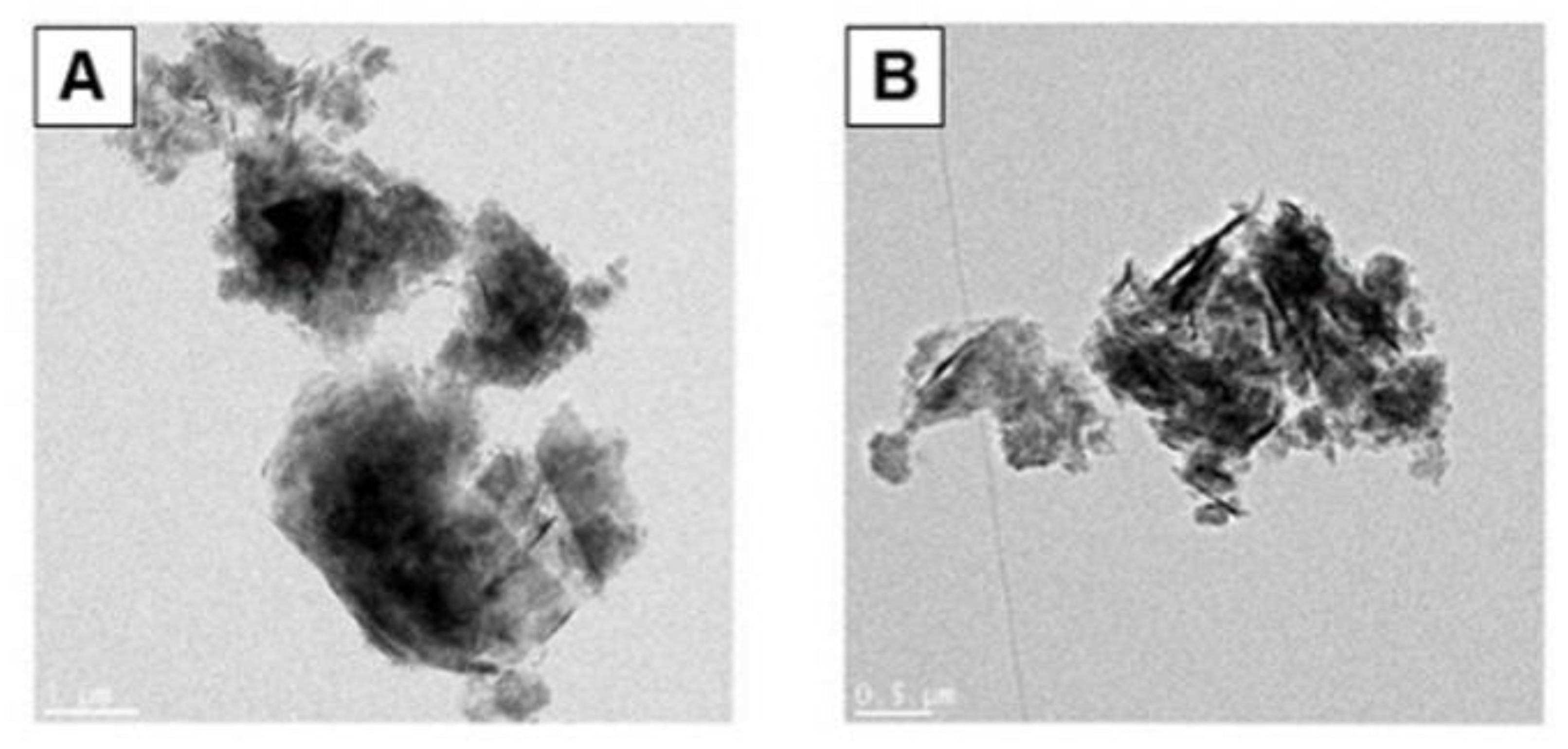Toxics 10 00236 g001 550