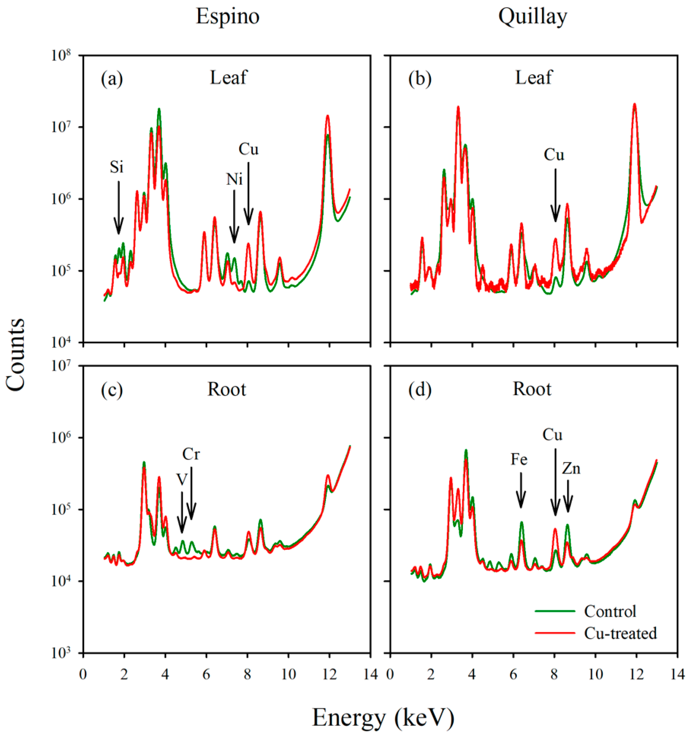 Toxics 10 00237 g004 550