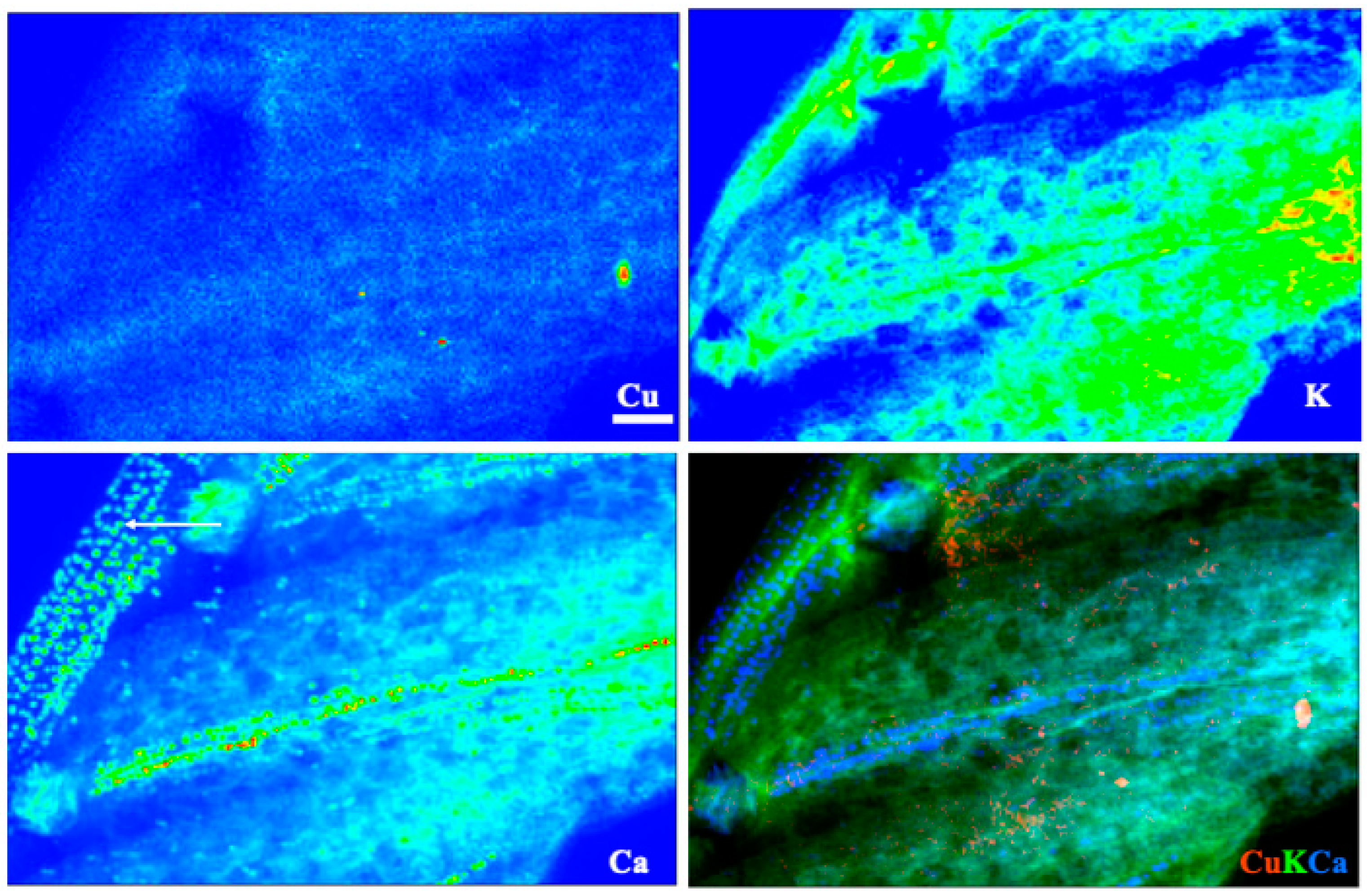 Toxics 10 00237 g005 550