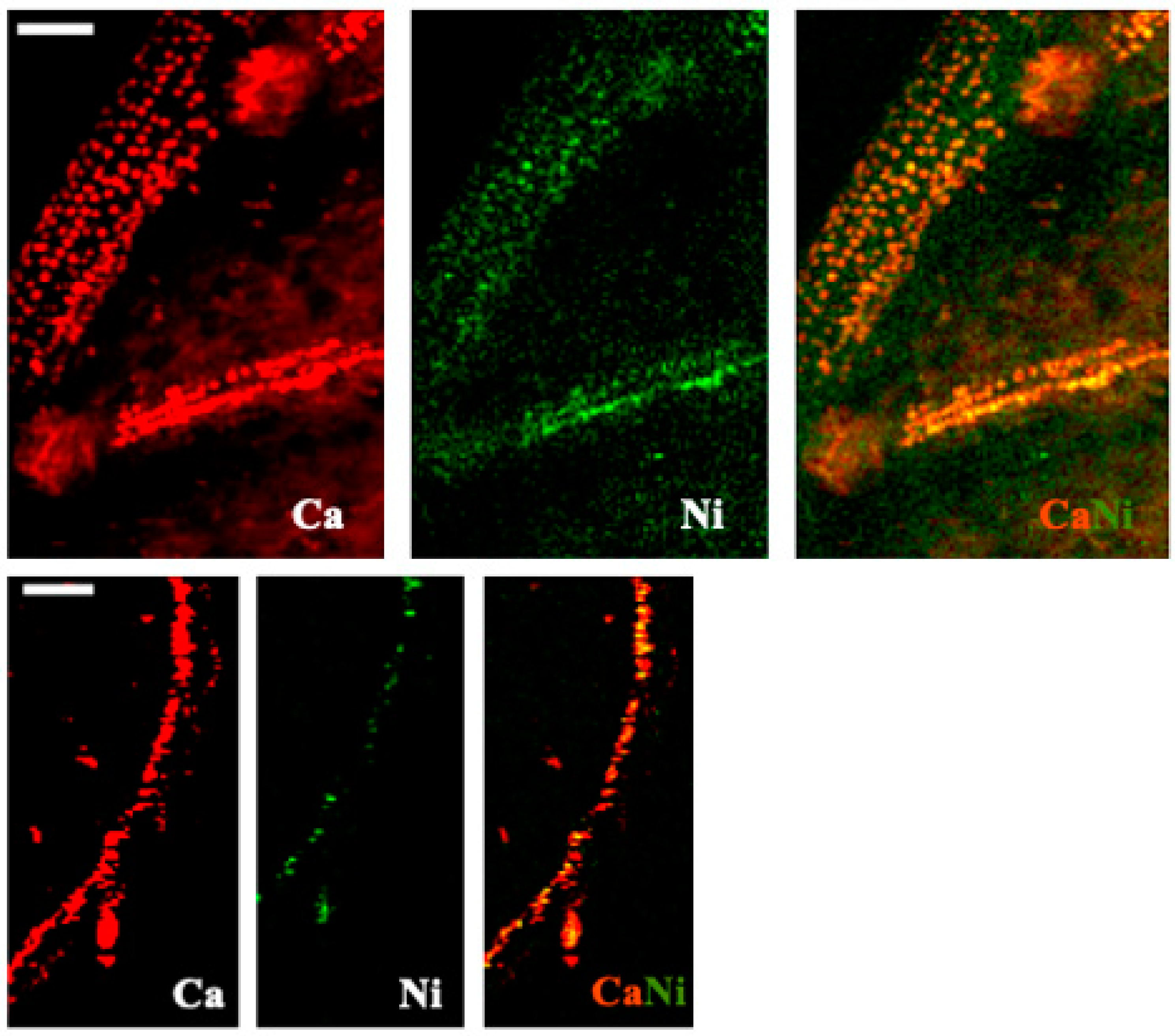 Toxics 10 00237 g009 550