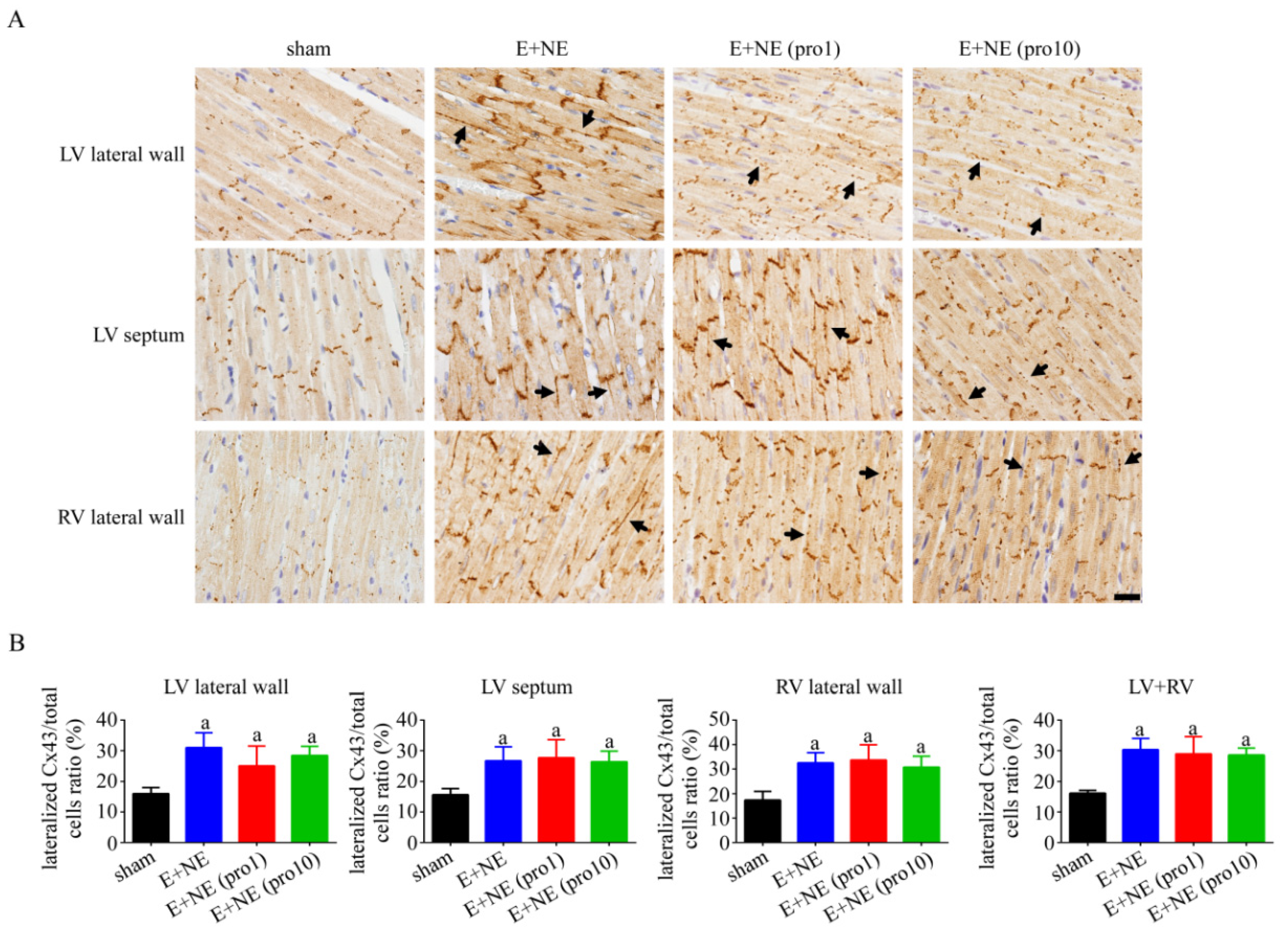 Toxics 10 00238 g004 550