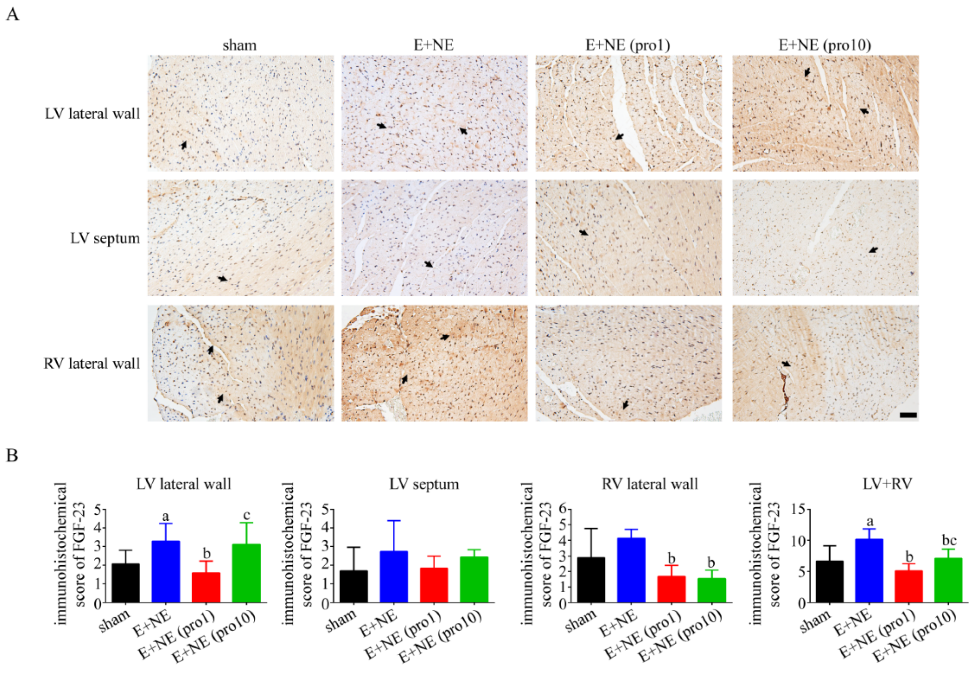 Toxics 10 00238 g005 550