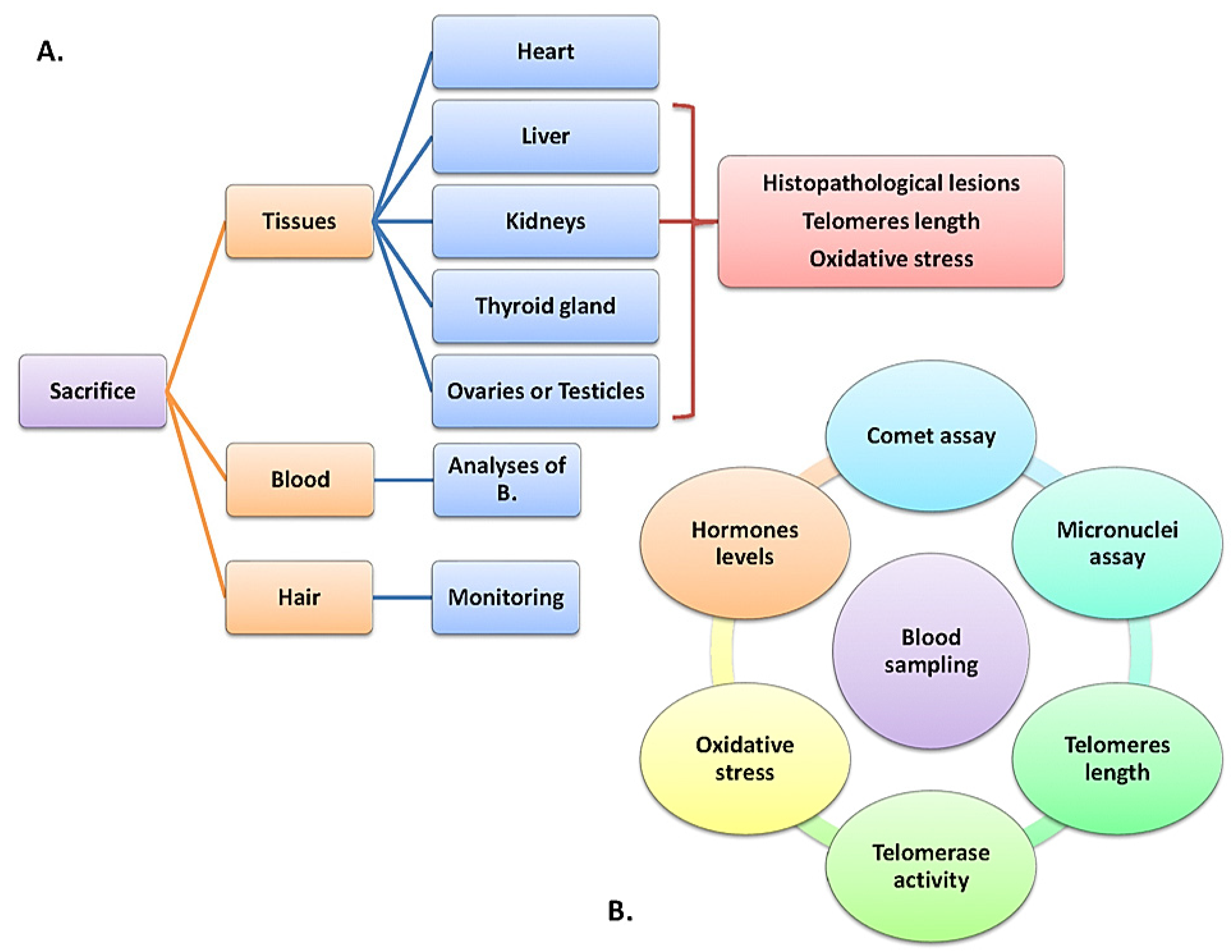Toxics 10 00246 g002 550
