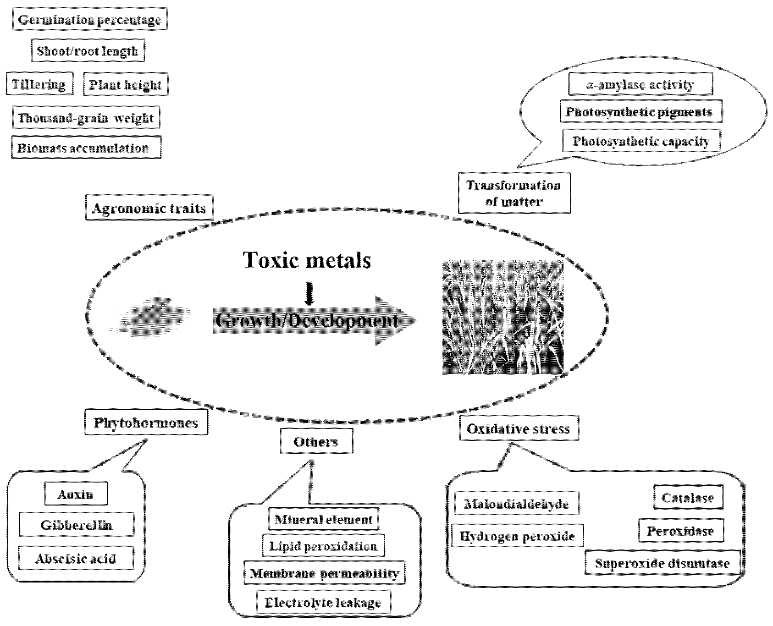 Toxics 10 00249 g001 550
