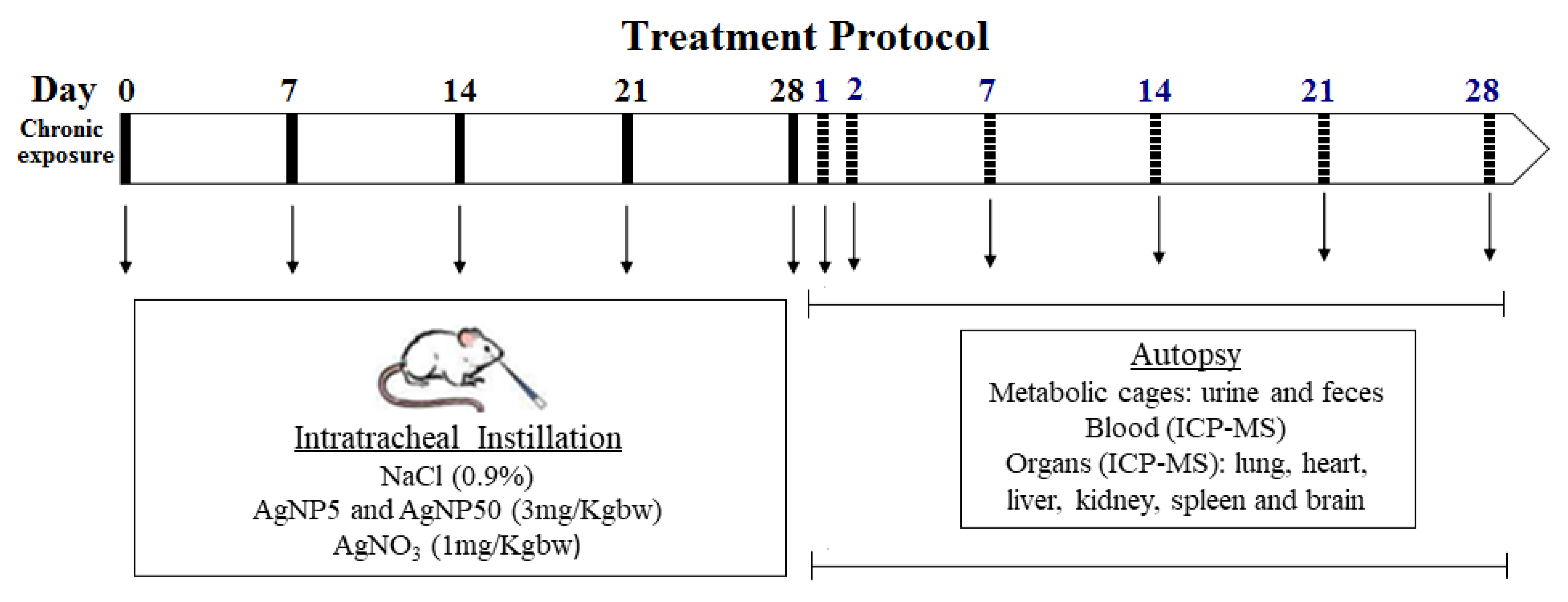 Toxics 10 00260 g001