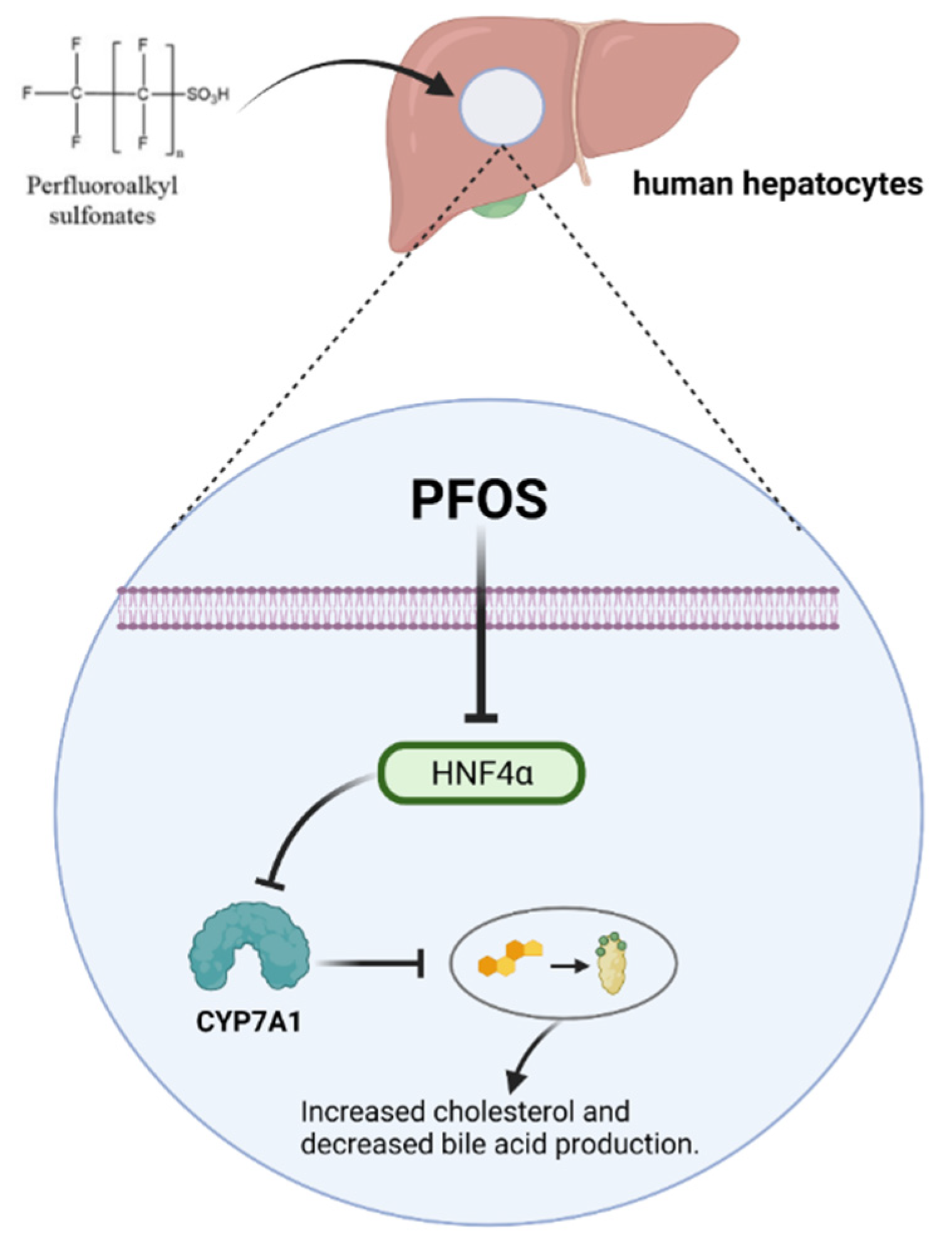Toxics 10 00265 g002 550